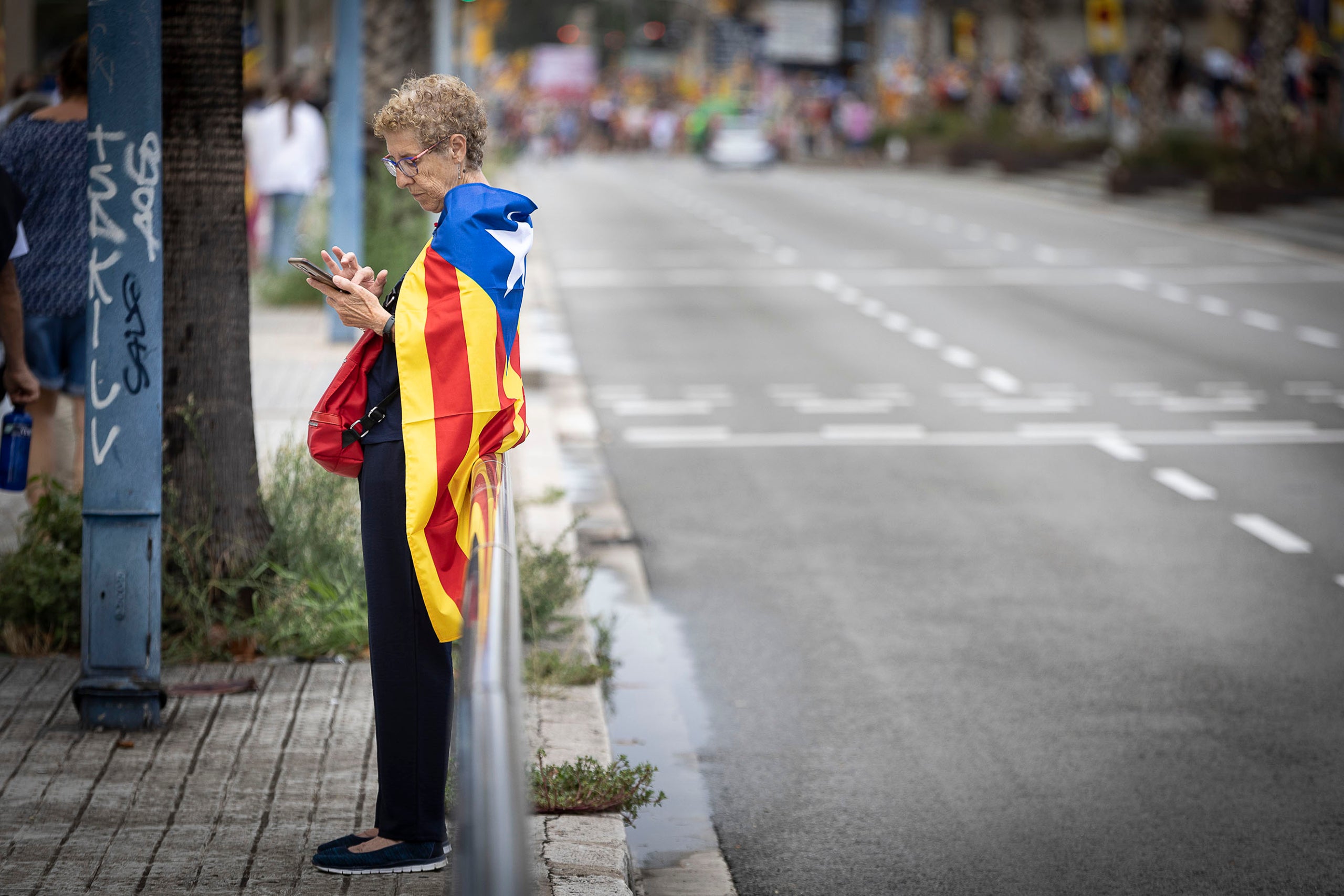 Manifestació per la Diada Nacional de Catalunya al passeig Colom de Barcelona. | Jordi Play