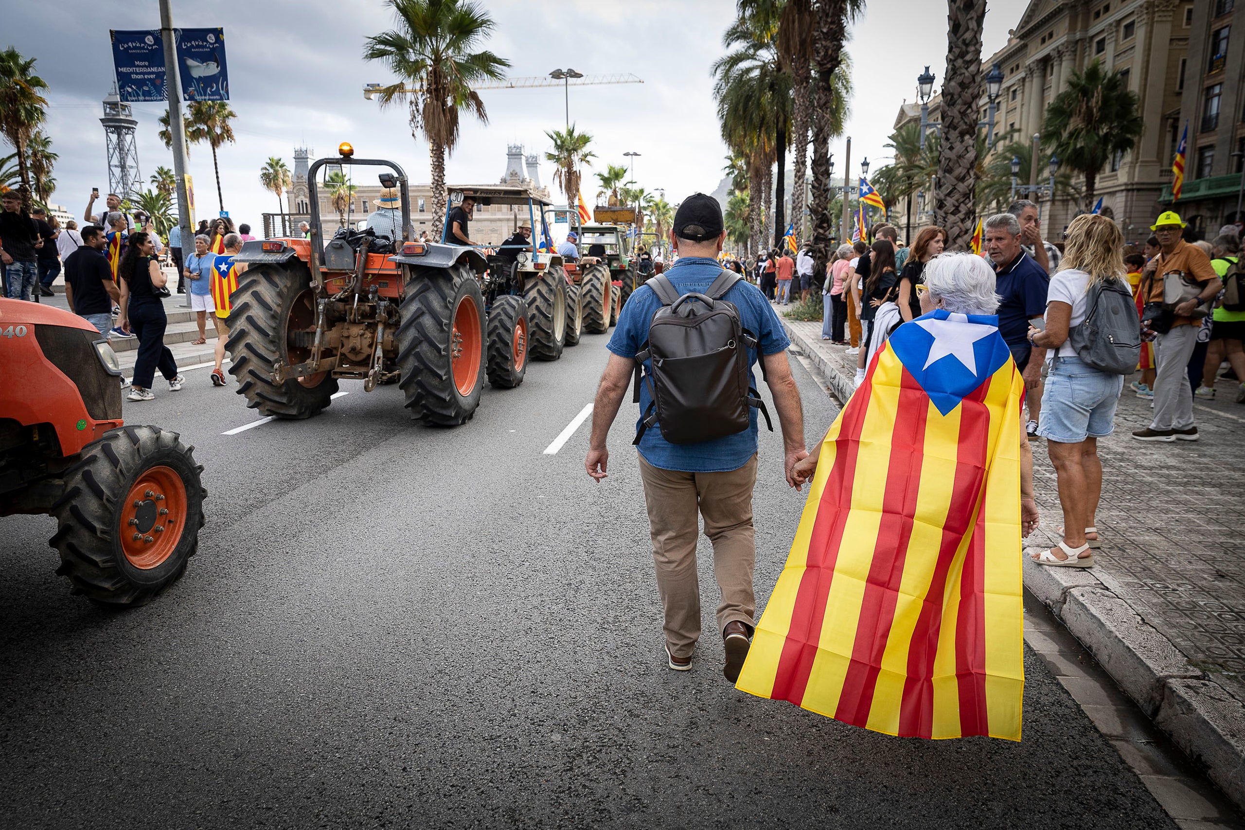 Manifestació per la Diada Nacional de Catalunya al passeig Colom de Barcelona. | Jordi Play