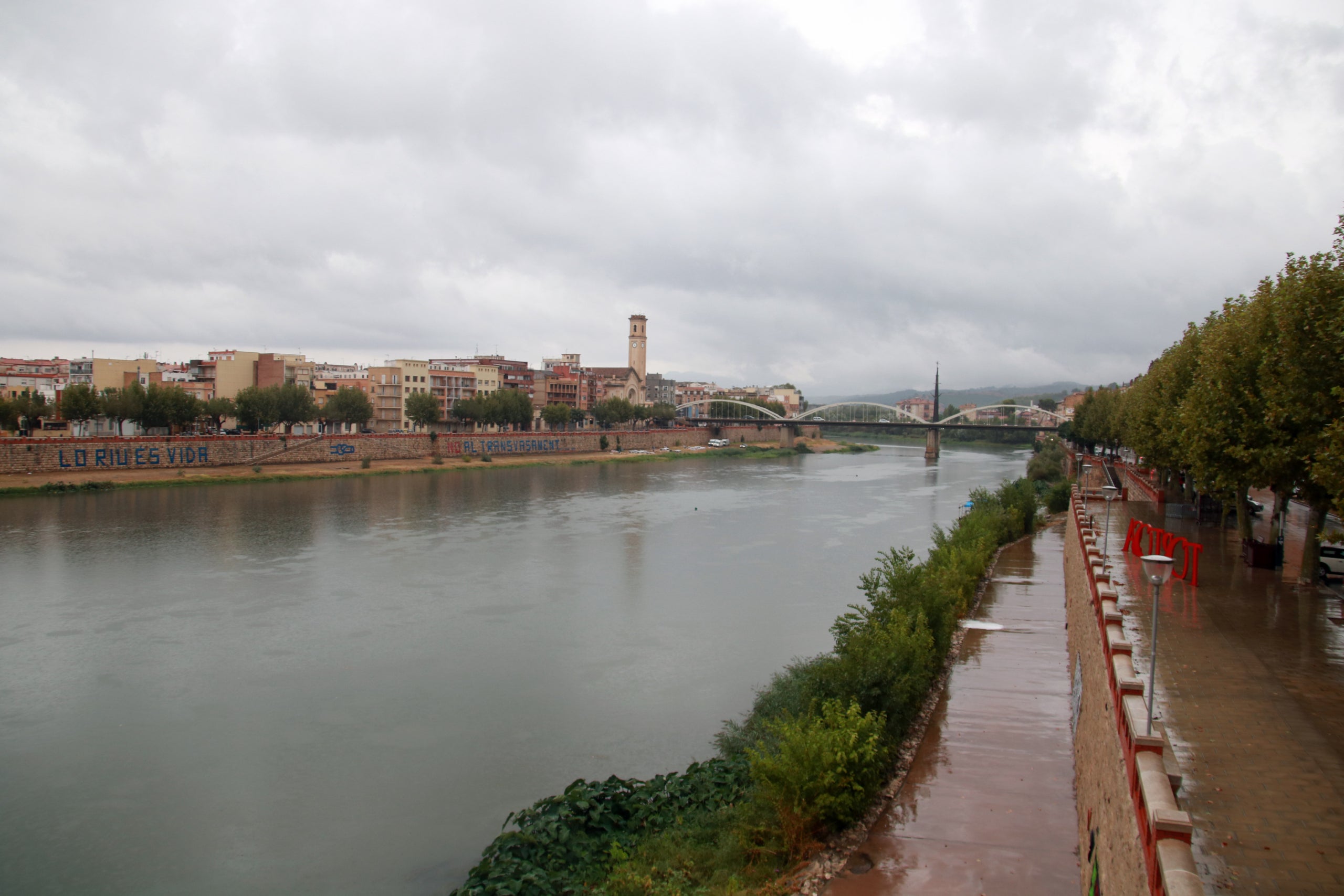 Vistes al riu Ebre plovent al seu pas per Tortosa / ACN