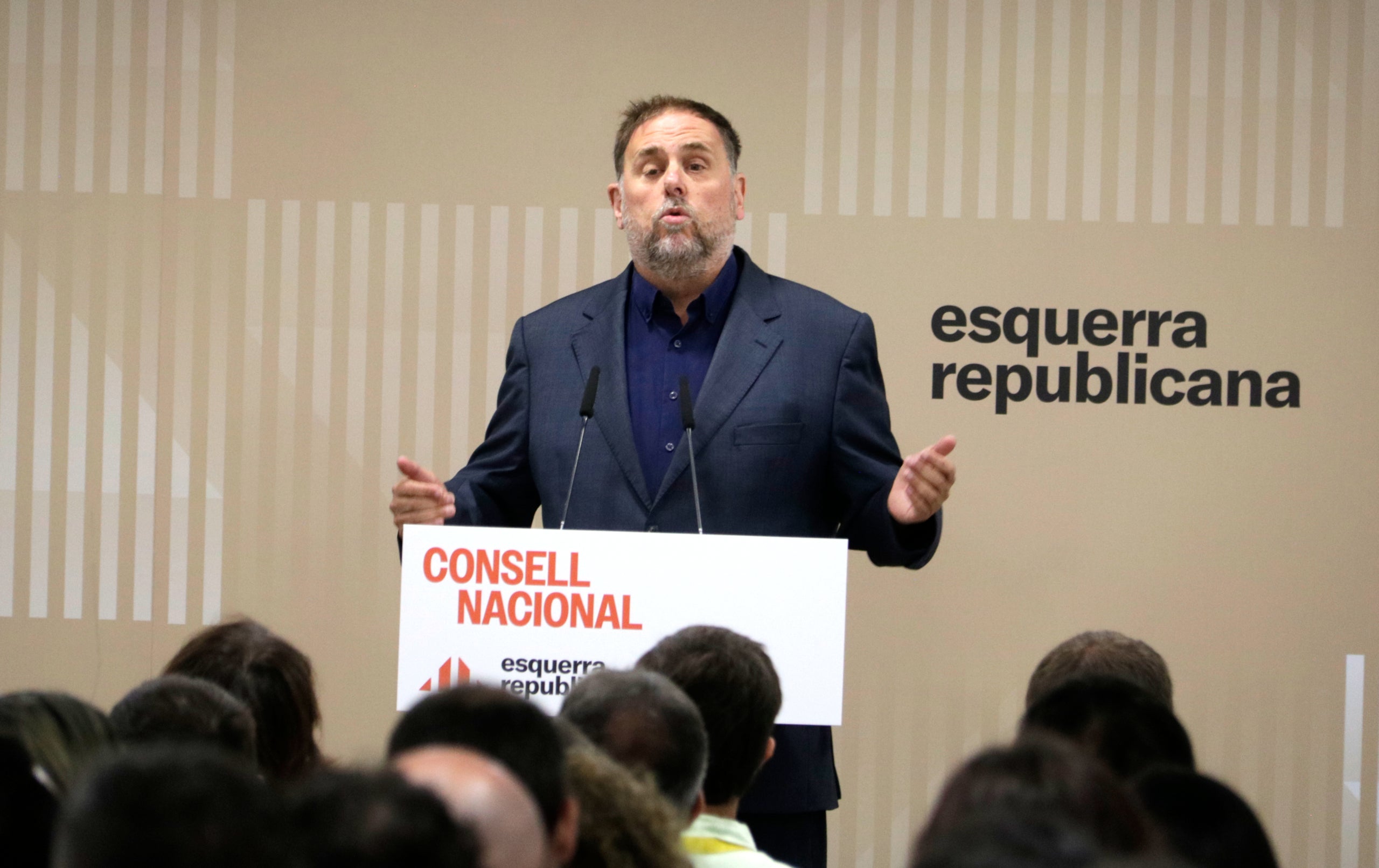 El president d'ERC, Oriol Junqueras, en una intervenció al Consell Nacional / ACN