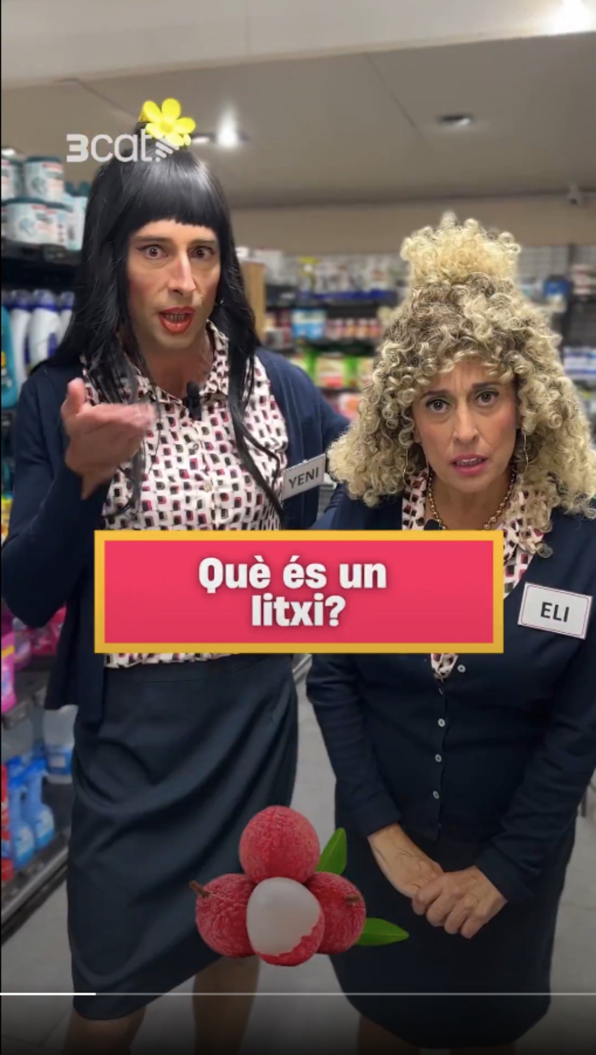 El test més esbojarrat dels personatges de la sèrie 'Vinagreta' | 3Cat