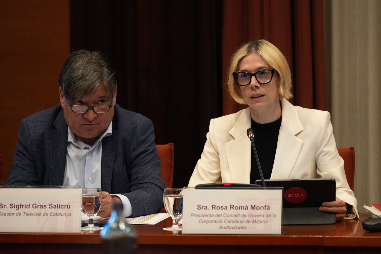 Rosa Romà dona explicacions del canvi de 3CatInfo - ACN