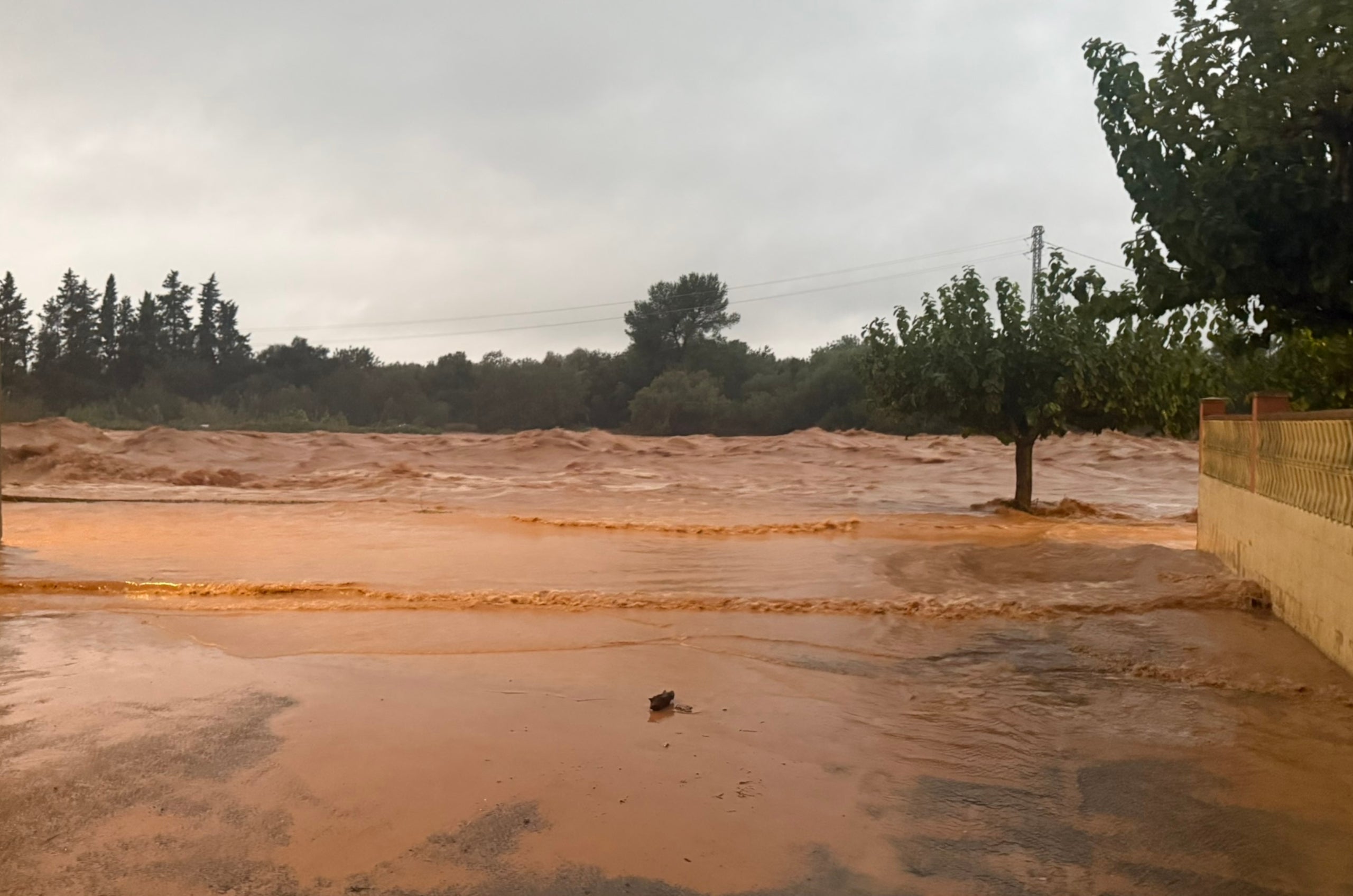 El barranc de la Galera de Masdenverge (Montsià), desbordat pels aiguats / ACN 
