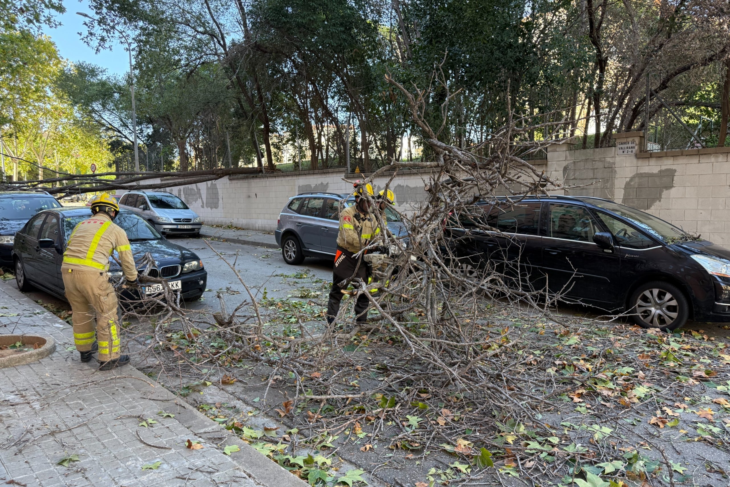 Efectius dels Bombers treballant per retirar arbres caiguts al carrer Vallirana de Sabadell. | Albert Segura (ACN)