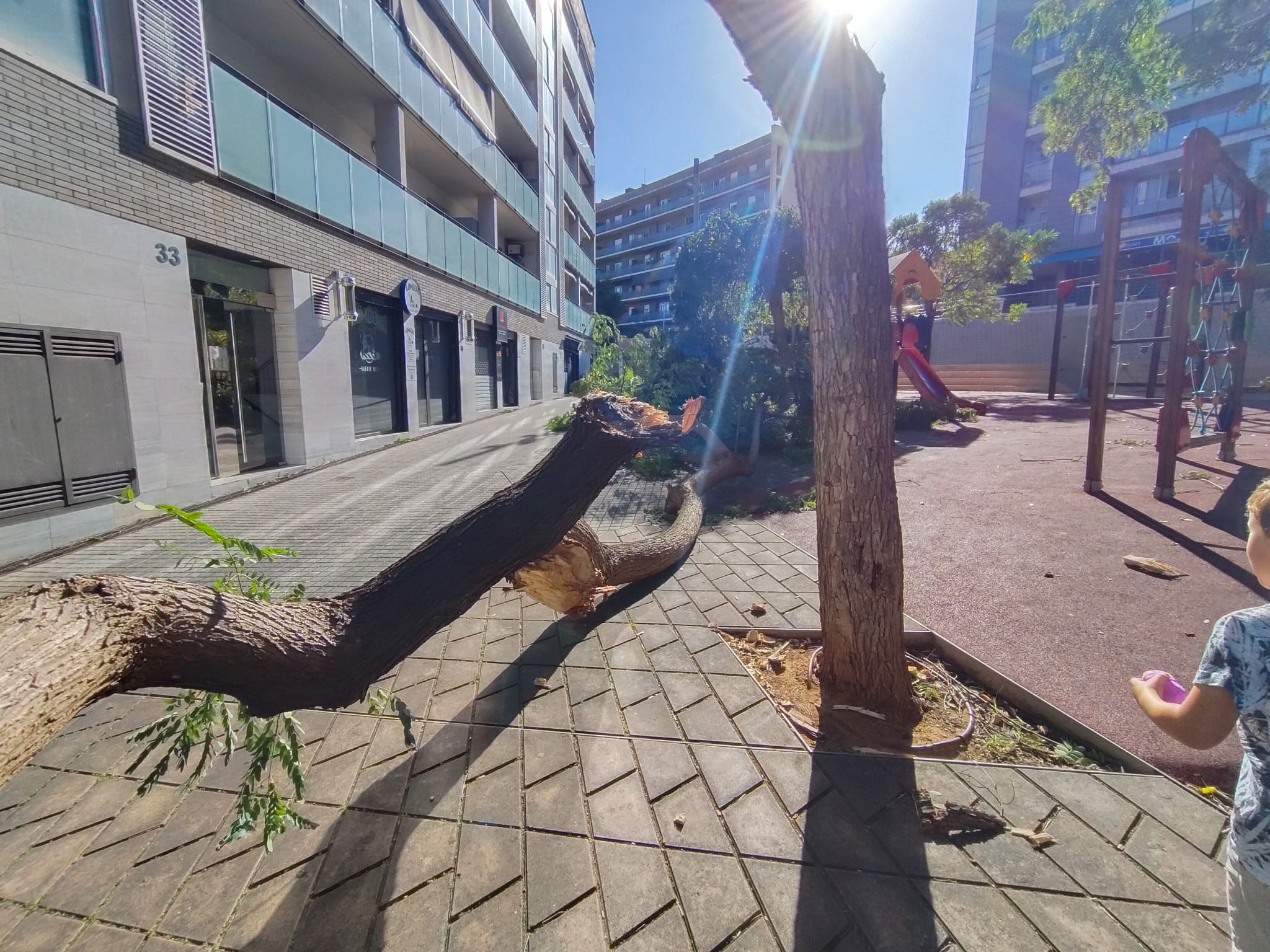 Un arbre caigut al costat d'un parc infantil a Sant Boi de Llobregat | G.A.