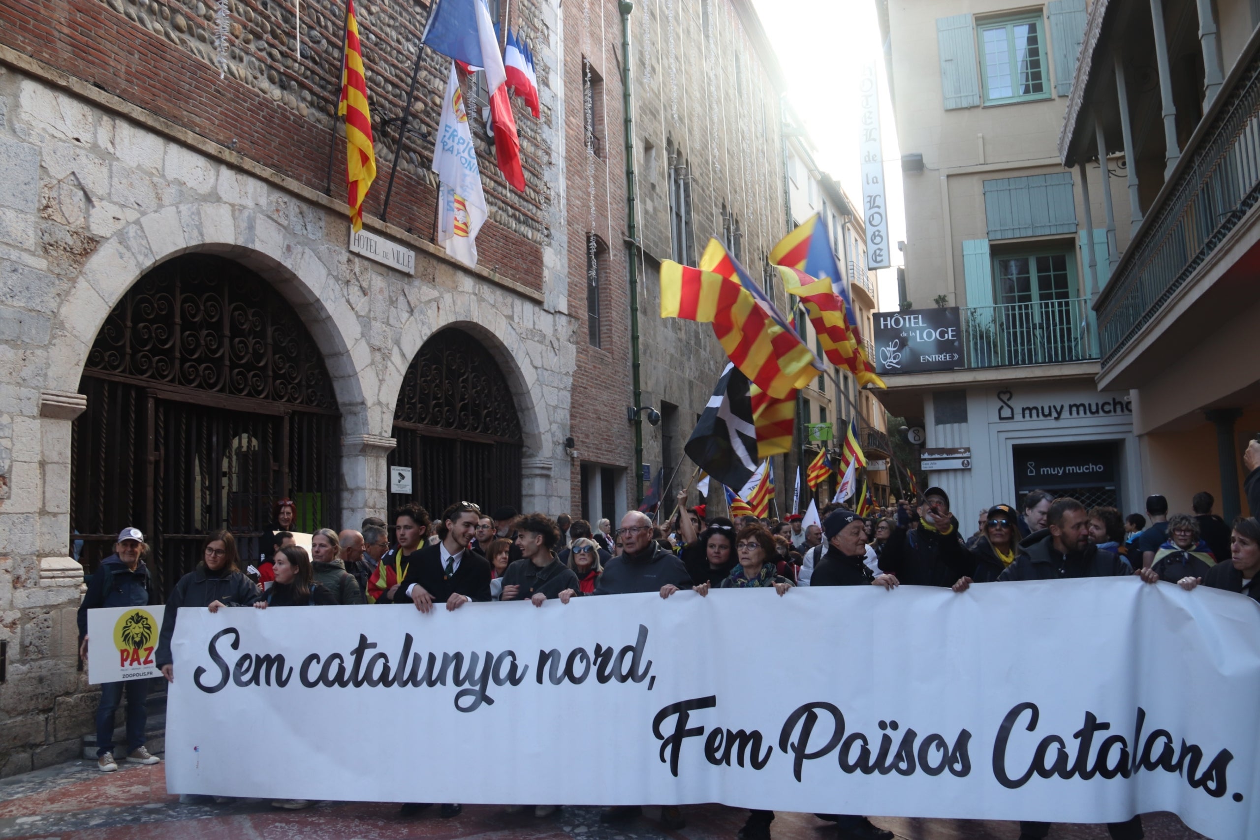 La manifestació de la Diada de la Catalunya del Nord passa per davant de l'Ajuntament de Perpinyà | Aleix Freixas (ACN)