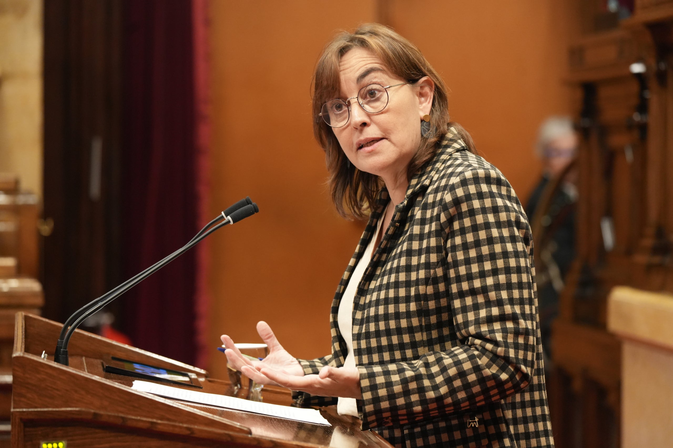 La consellera de Territori, Habitatge i Transició Ecològica, Sílvia Paneque / ACN