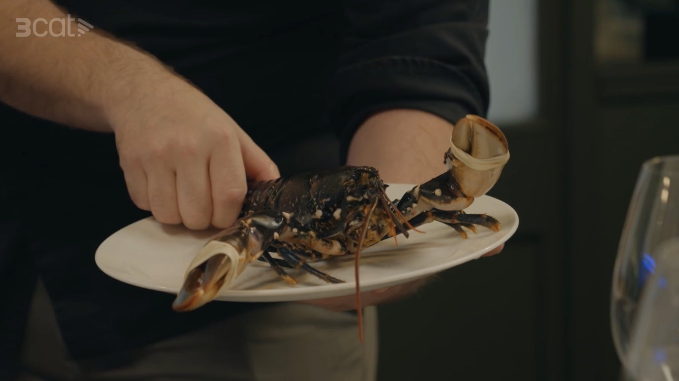 El producte de l'O'Peregrino era molt fresc | 3Cat