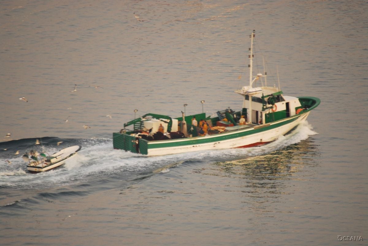 Foto d'Oceana Juan Cuetos