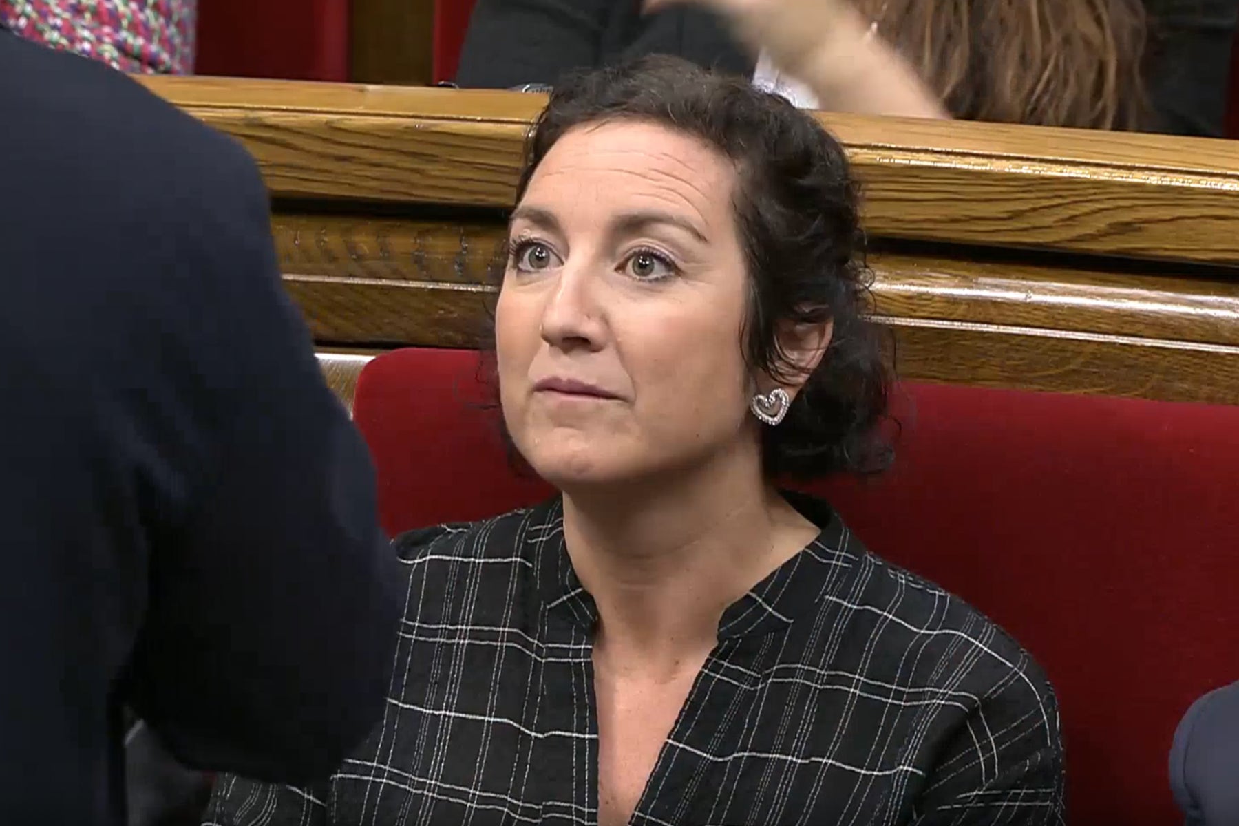 Romero escuchó a Jové con cara de circunstancias / Parlamento