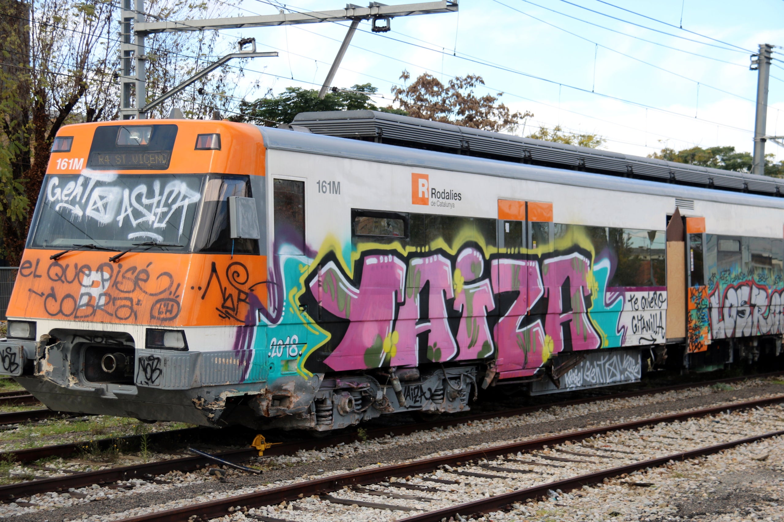 Imatge d'un tren de Rodalies vandalitzat amb grafitis / ACN
