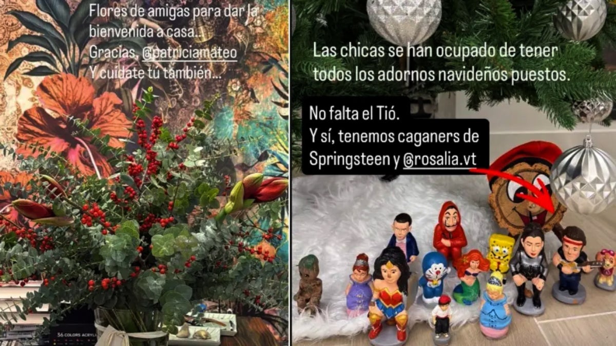 Carme Chaparro rep l'alta i agraeix l'estima que ha rebut - Instagram