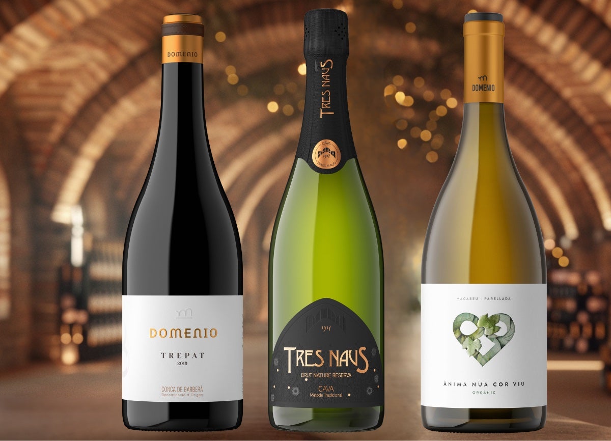 Lot de vins dels Cellers Domenys per a la Panera Més Gran del Món