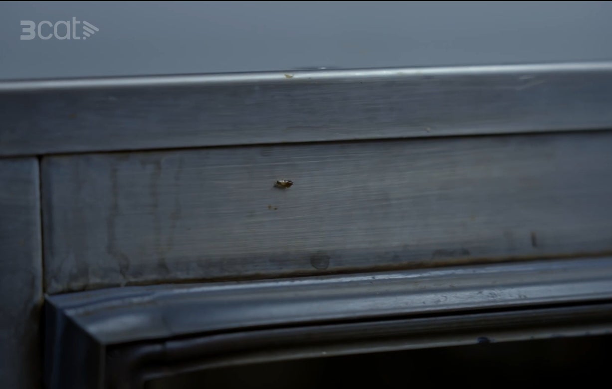 Han trobat una segona cuca a 'Joc de cartes' | 3Cat