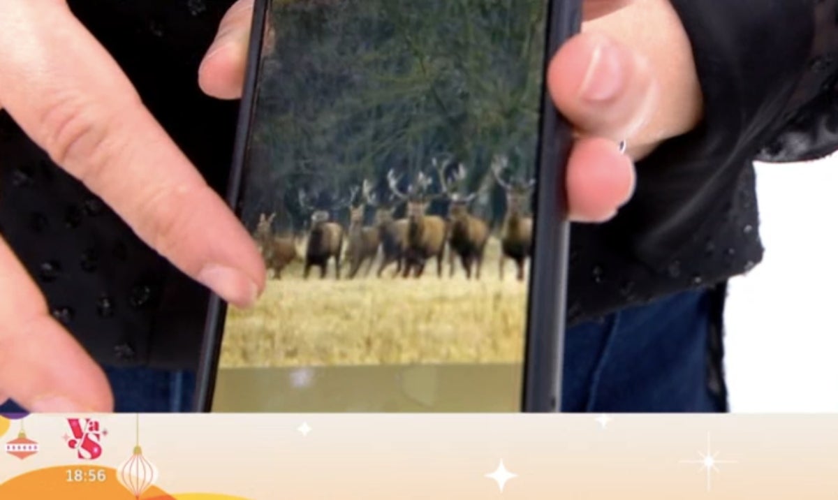 La indirecta de Candela Márquez que podría ir para Alejandro Sanz | Antena 3