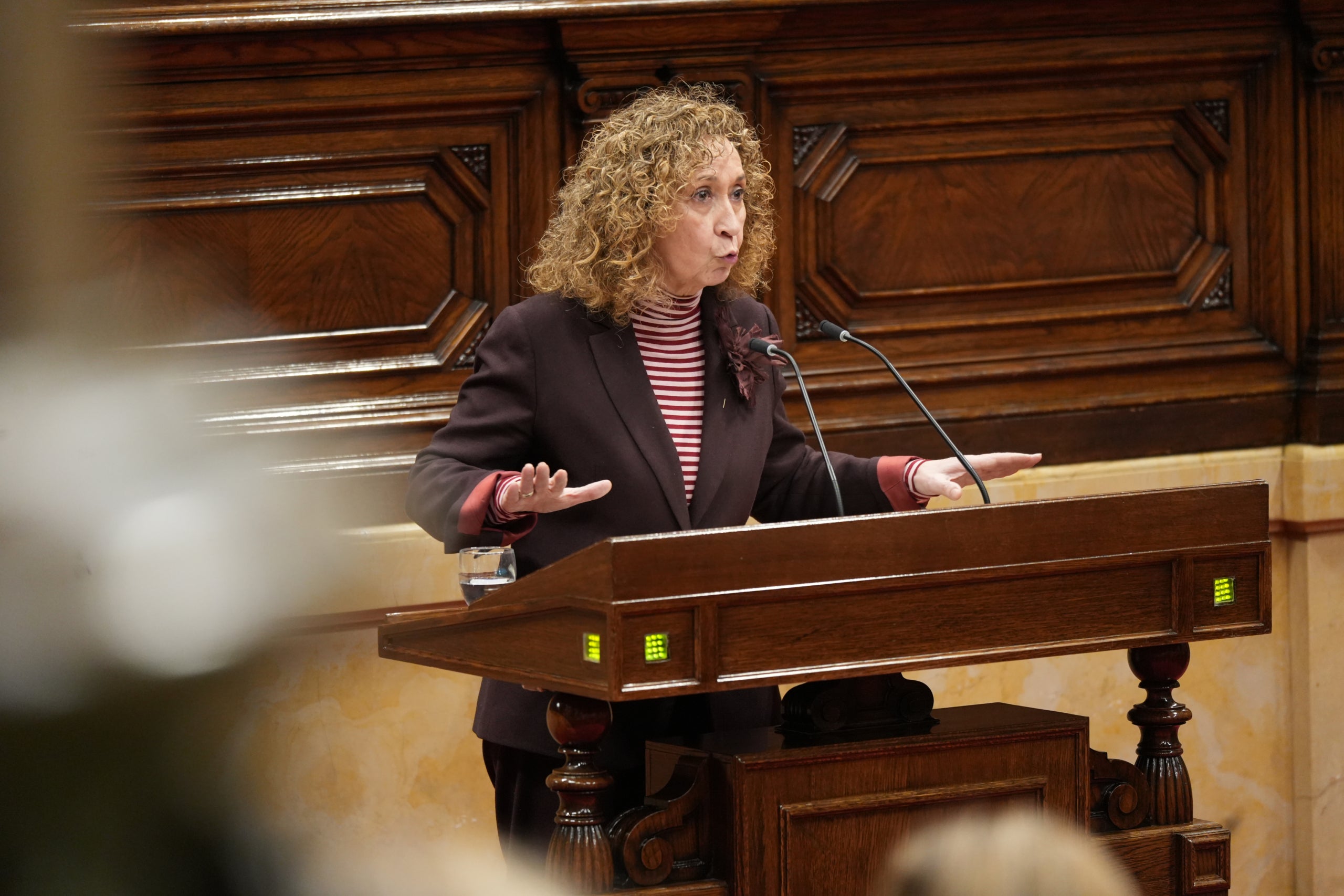 La portaveu parlamentària d'ERC, Ester Capella, durant el ple / ACN
