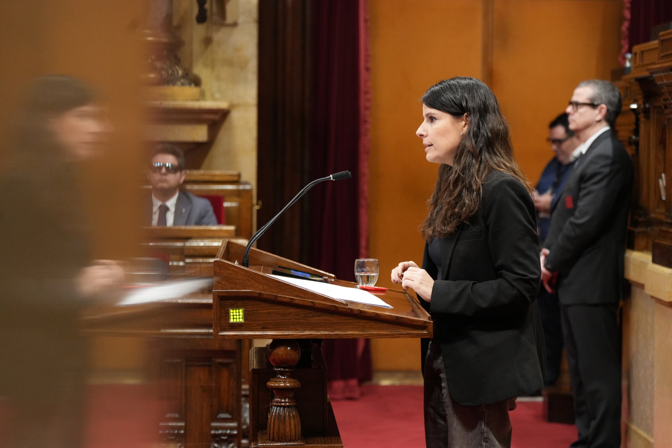 La presidenta del grup parlamentari de Junts, Mònica Sales, durant el ple / ACN