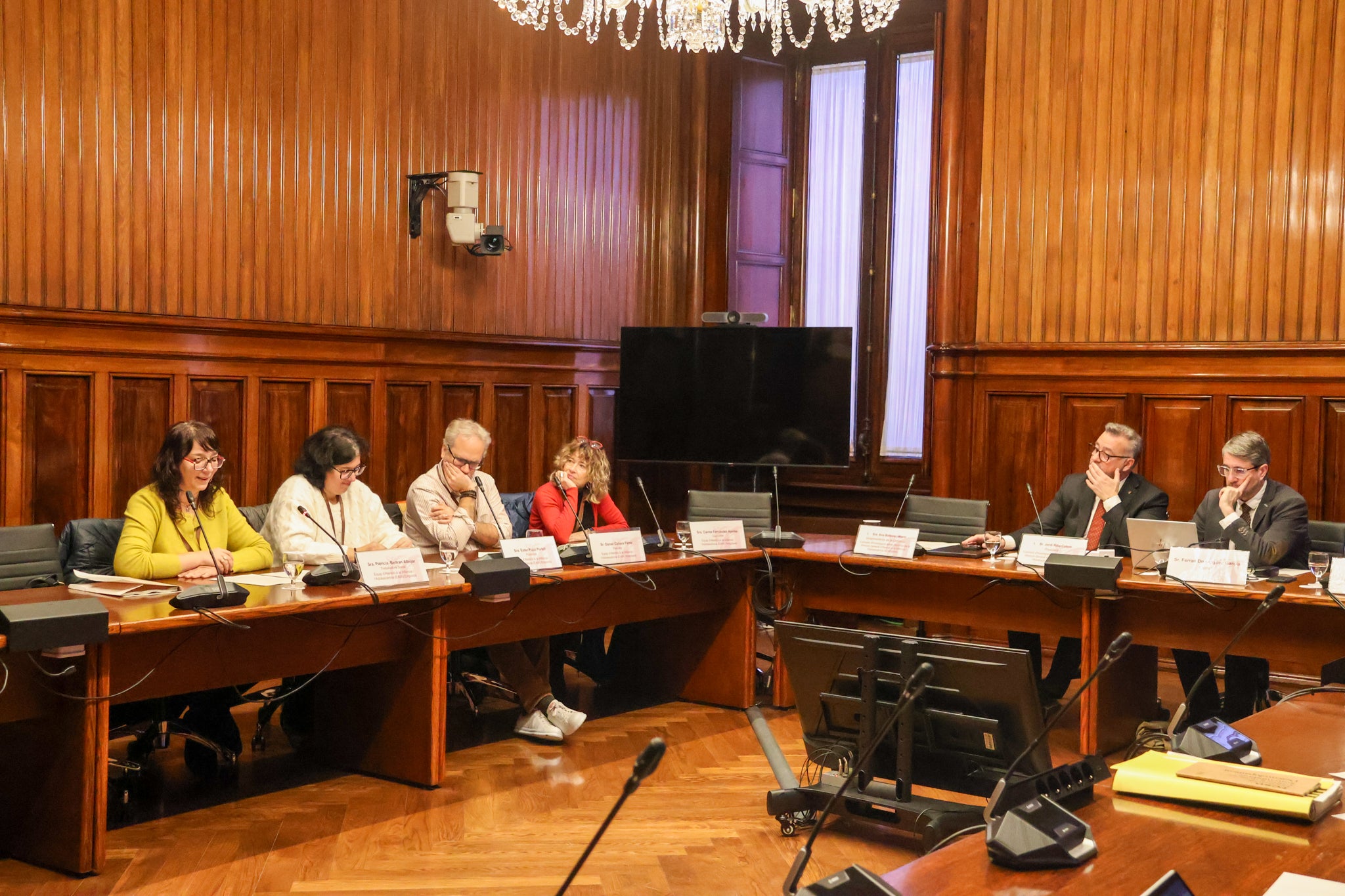 Els experts convocats a la comissió DGAIA/Parlament