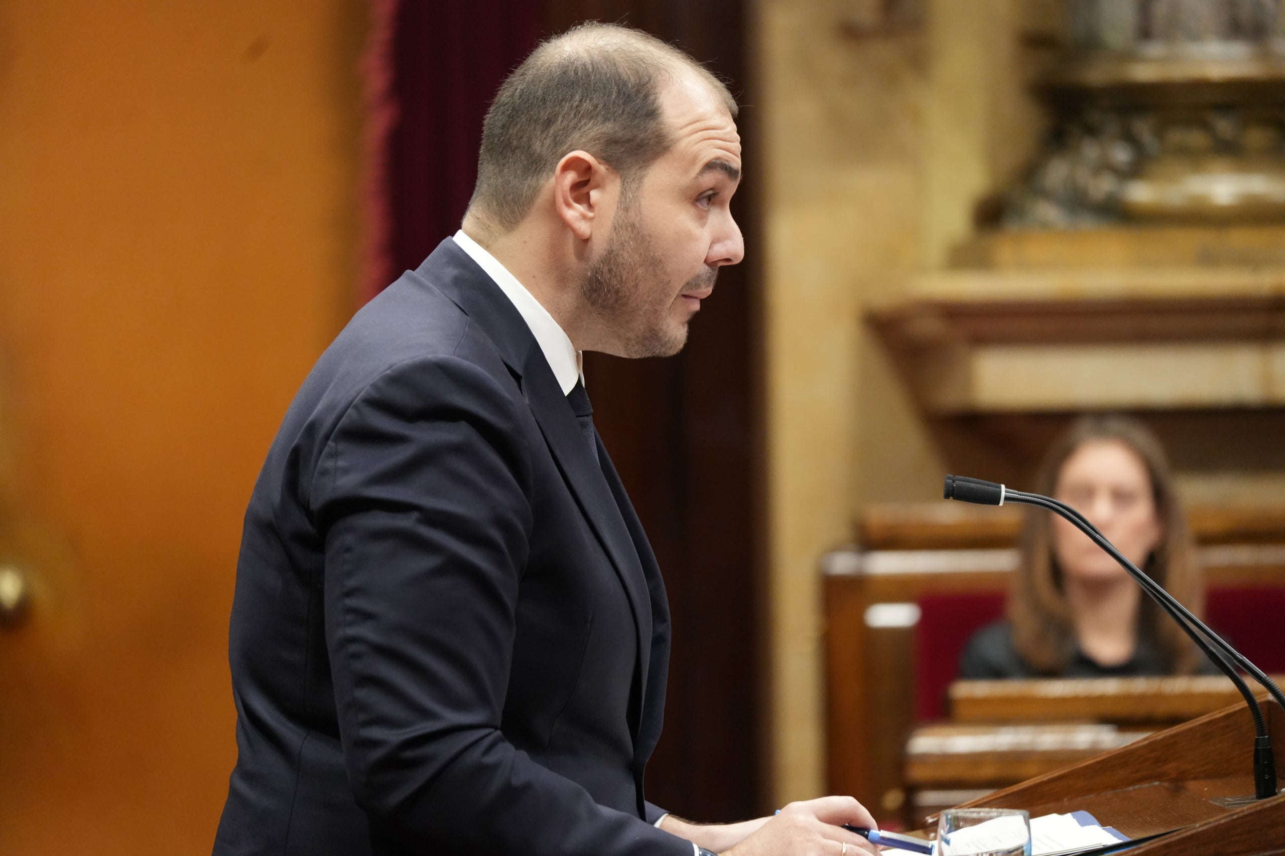 El conseller de la Presidència, Albert Dalmau, compareix al ple / ACN