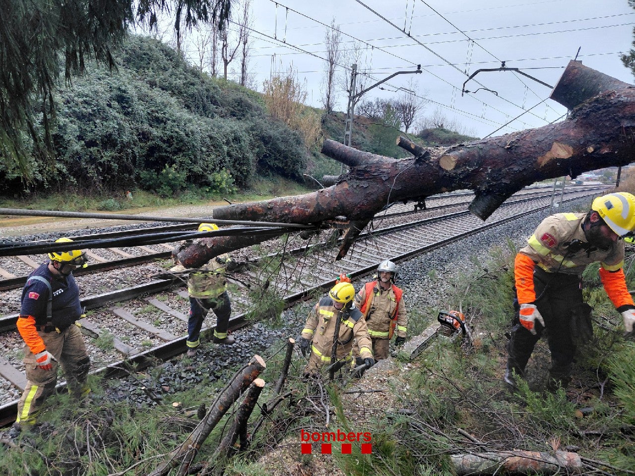 Los Bomberos de la Generalitat trabajan para retirar de las vías de la red de Rodalies uno de los árboles caídos por el temporal este martes / Bomberos de la Generalitat