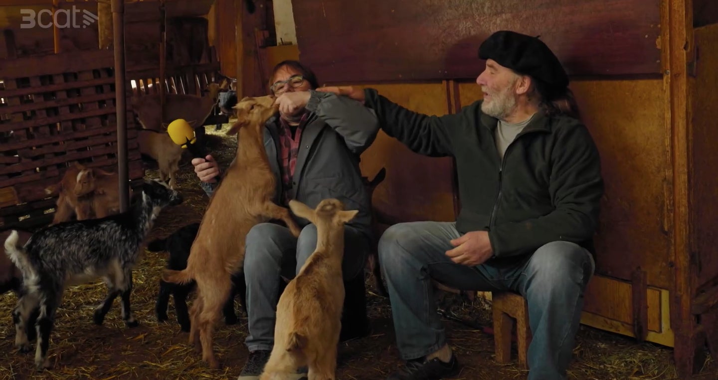 La mossegada d'una cabra, en l'escena més divertida a El Foraster - TV3