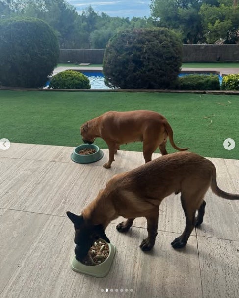 Així és la zona de jardí i piscina de Ferran Torres - Instagram