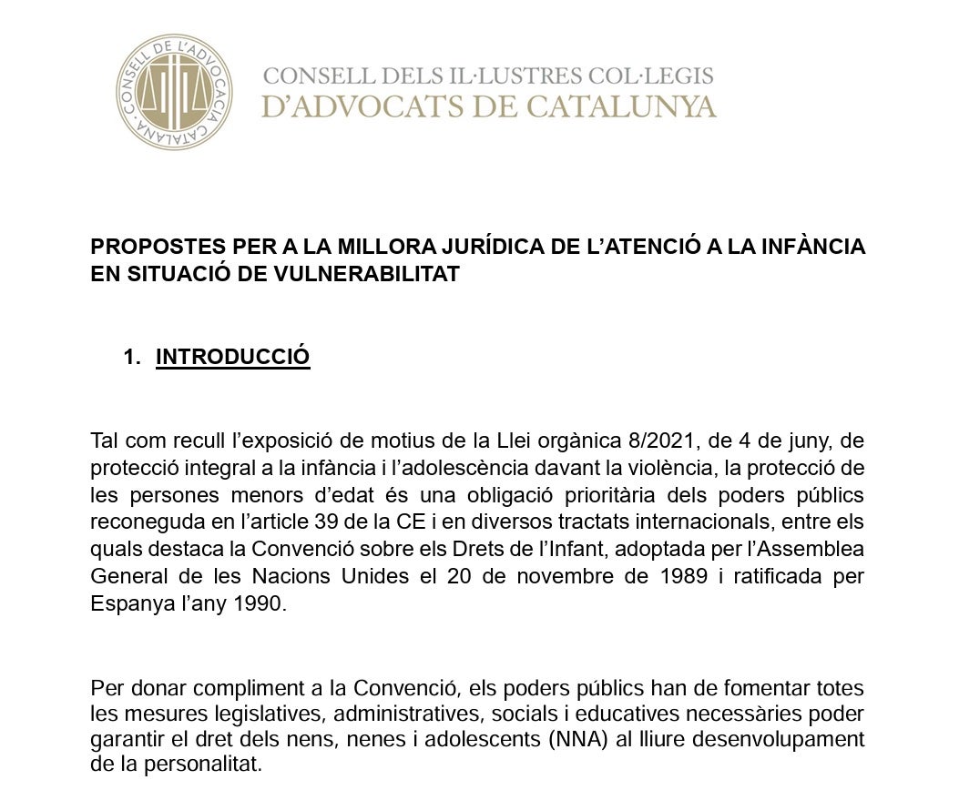 Part de l'informe dels advocats on proposen mesures per millorar la DGAIA