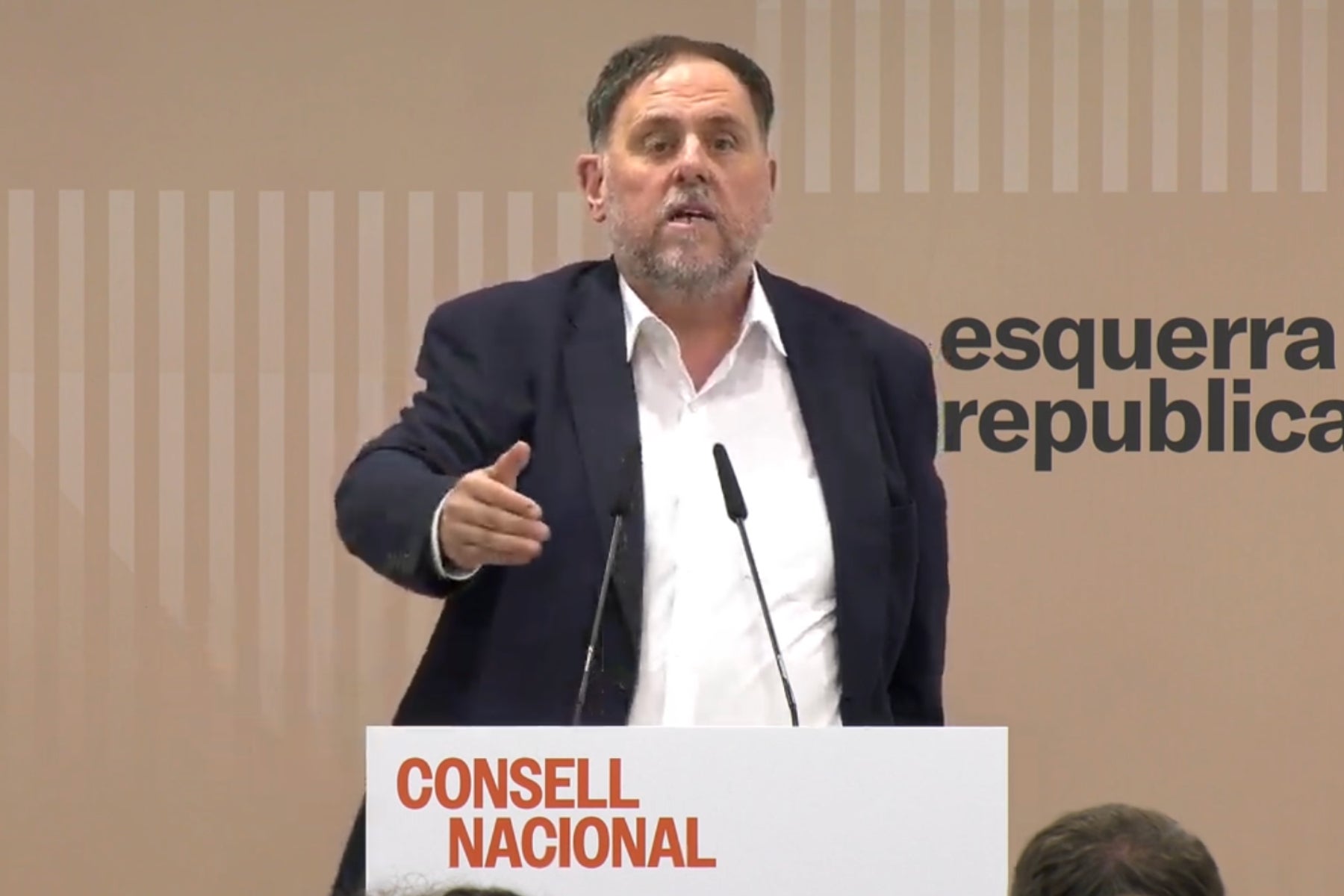 El president d'ERC, Oriol Junqueras, durant el seu discurs al consell nacional del partit 
