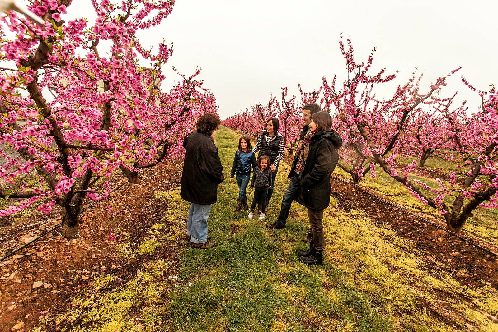 Visitants entre fruiters a Aitona / Foto: Marc Trilla / Patronat de Turisme de la Diputació de Lleida