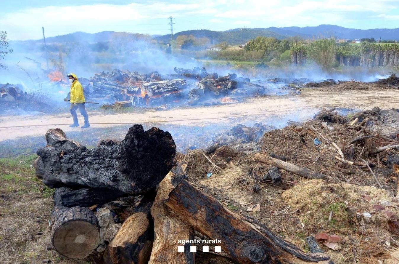 Un incendi de vegetació a Blanes, aquest diumenge / Agents Rurals