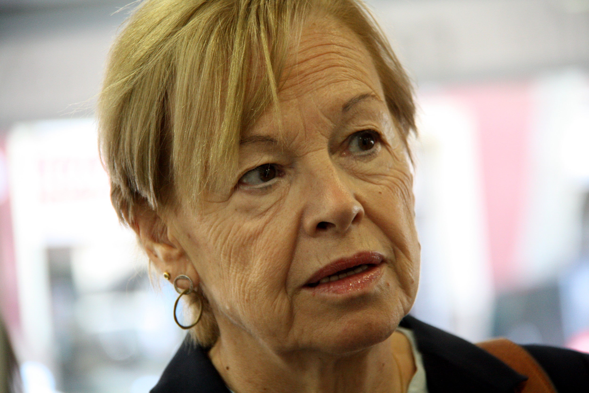 Maria Badia, filòloga i exdiputada del PSC al Parlament Europeu, el 2014 / ACN-Laura Fíguls