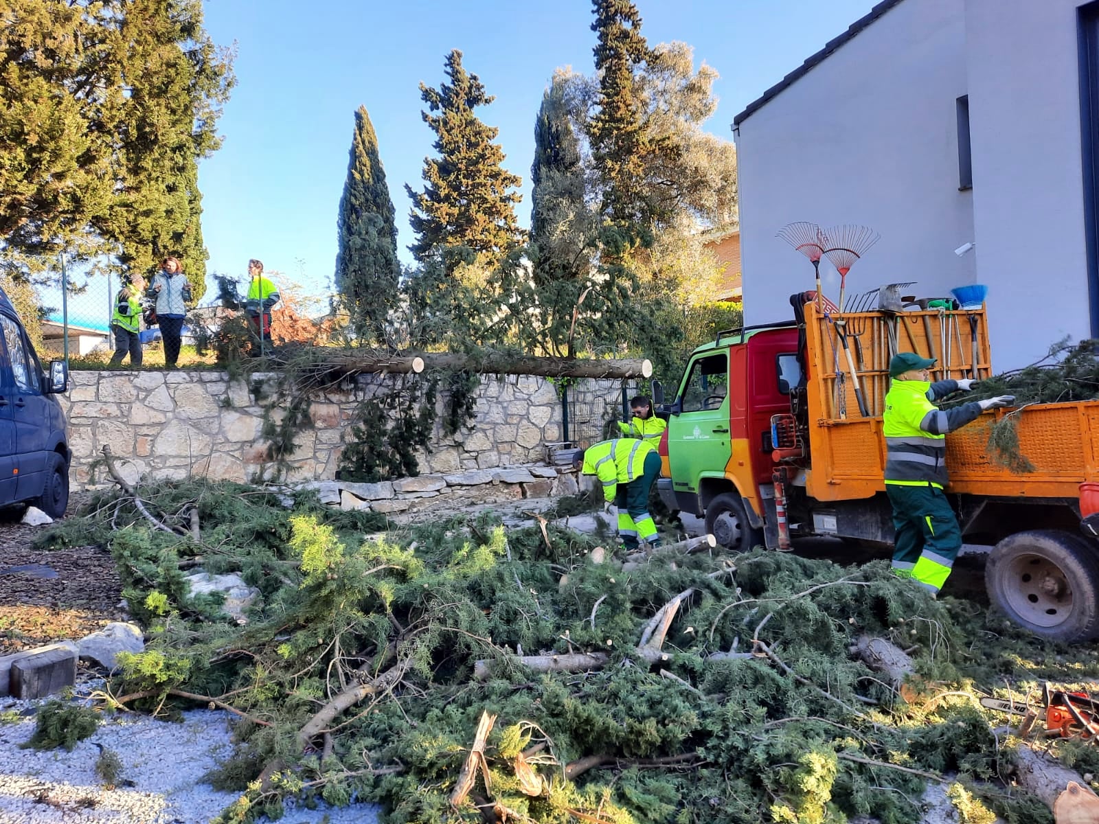 Arbres caiguts a Girona per les fortes ventades / Ajuntament de Girona
