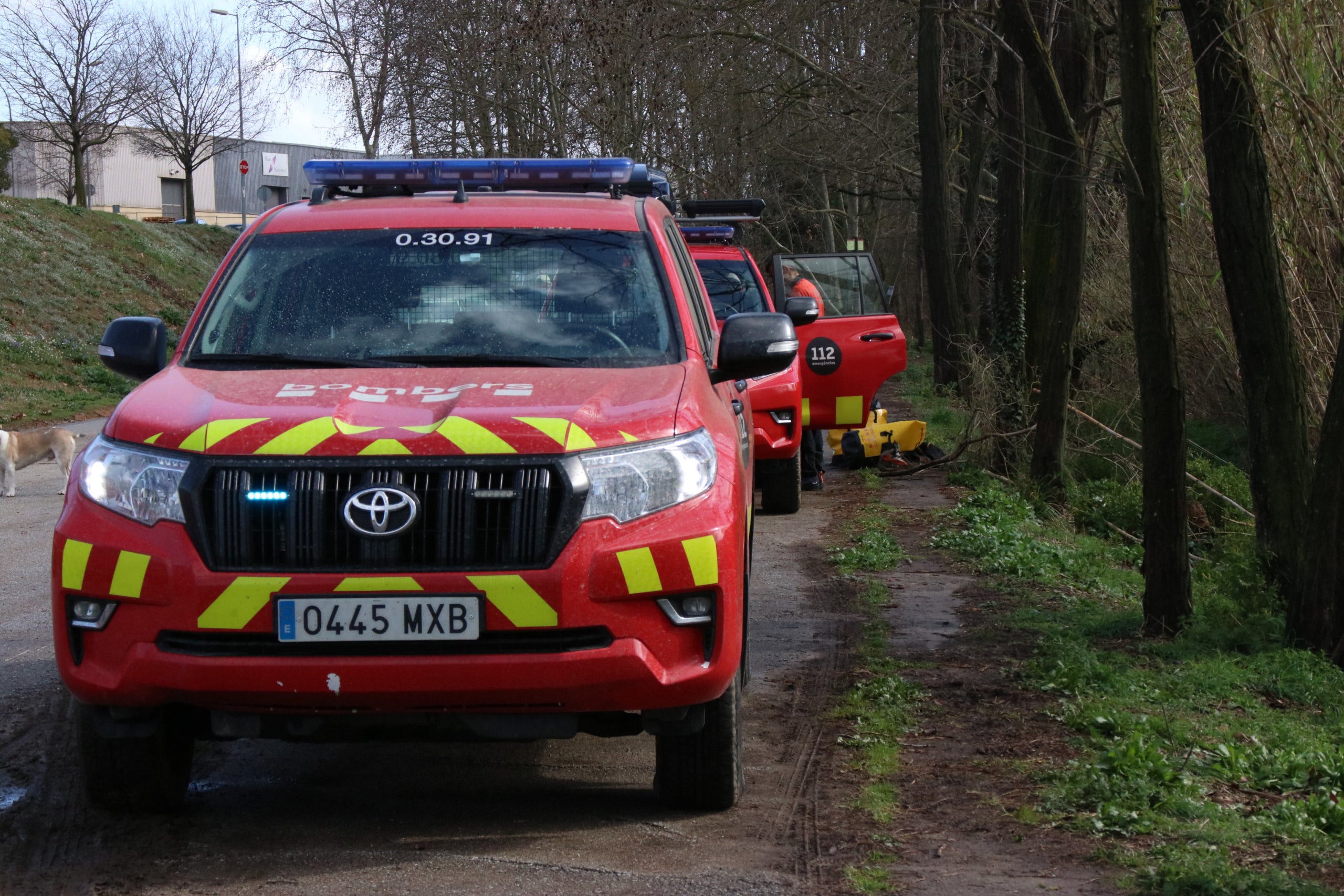 Diferents vehicles dels Bombers que participen en la recerca  | Albert Hernàndez Ventós (ACN)