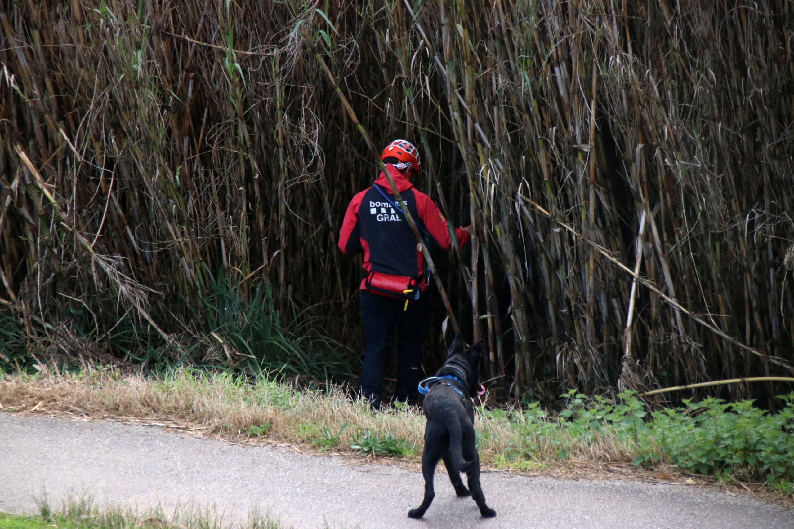 Un dels diversos efectius de la unitat canina repartits pels vorals del riu Mogent  | Albert Hernàndez Ventós (ACN)