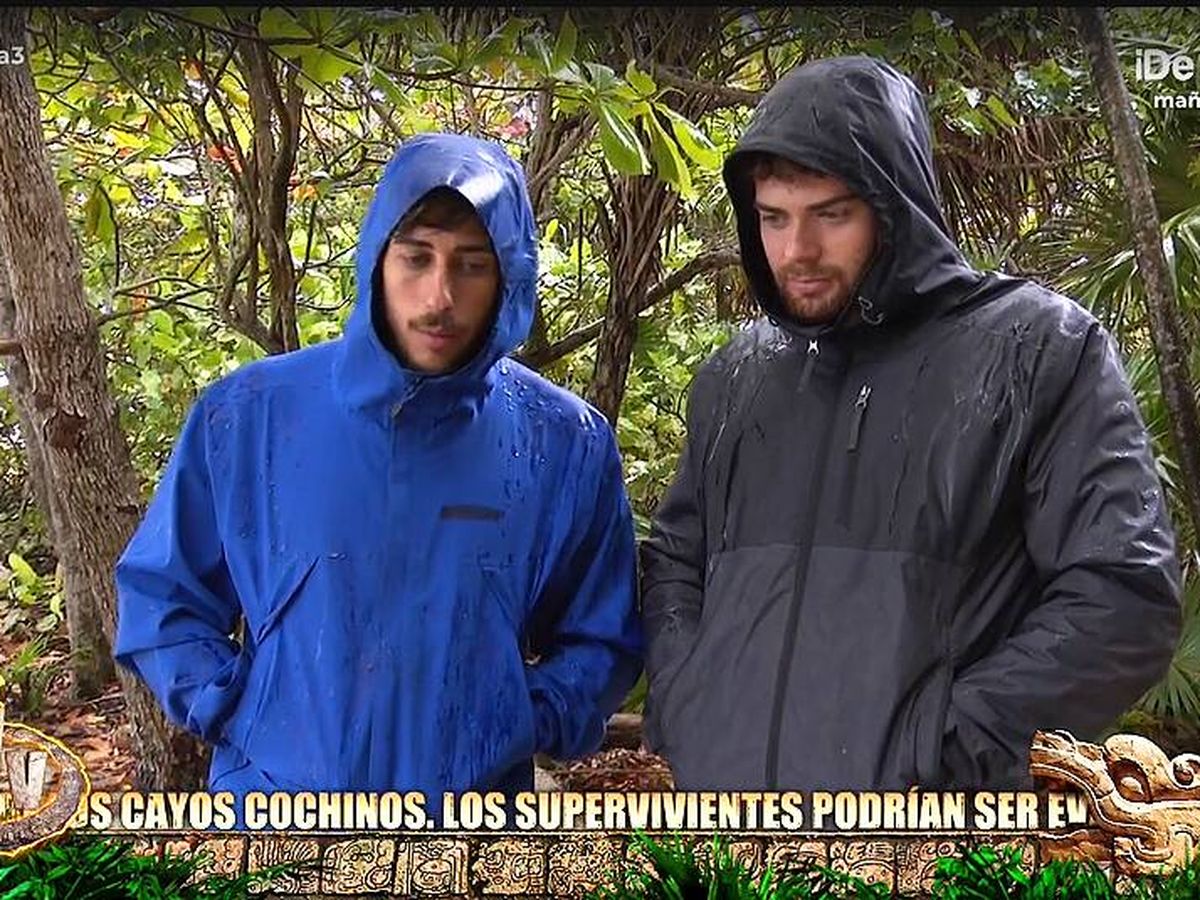 Borja diu que vol abandonar - Telecinco