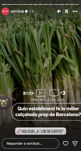 Els calçots seran els protagonistes del Joc de cartes d'aquesta nit - TV3