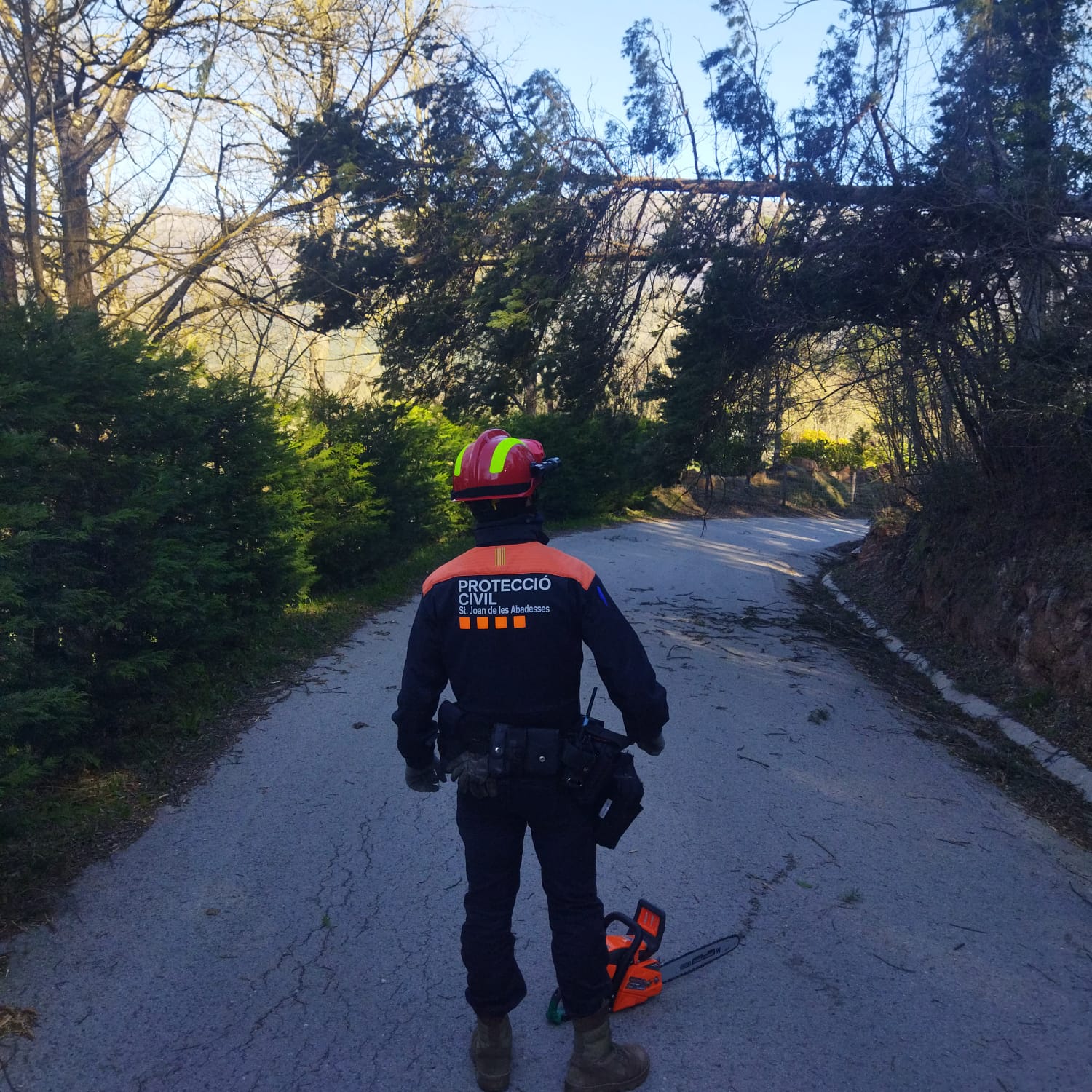 Bombers de Catalunya en una intervenció fruit del vent / Protecció Civil