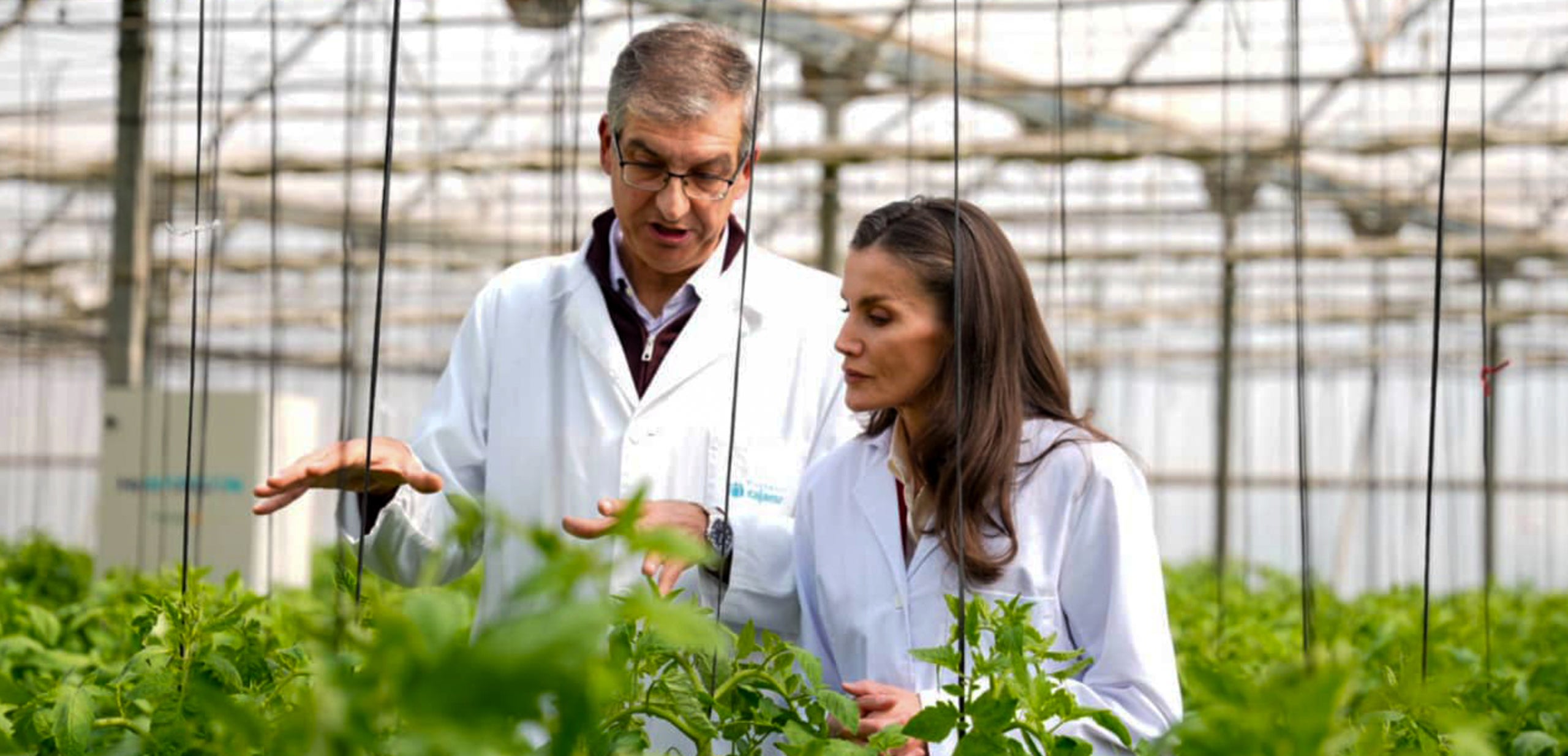 Letícia no sempre va voler ser periodista, ara se sap quina és la seva feina frustrada - Europa Press