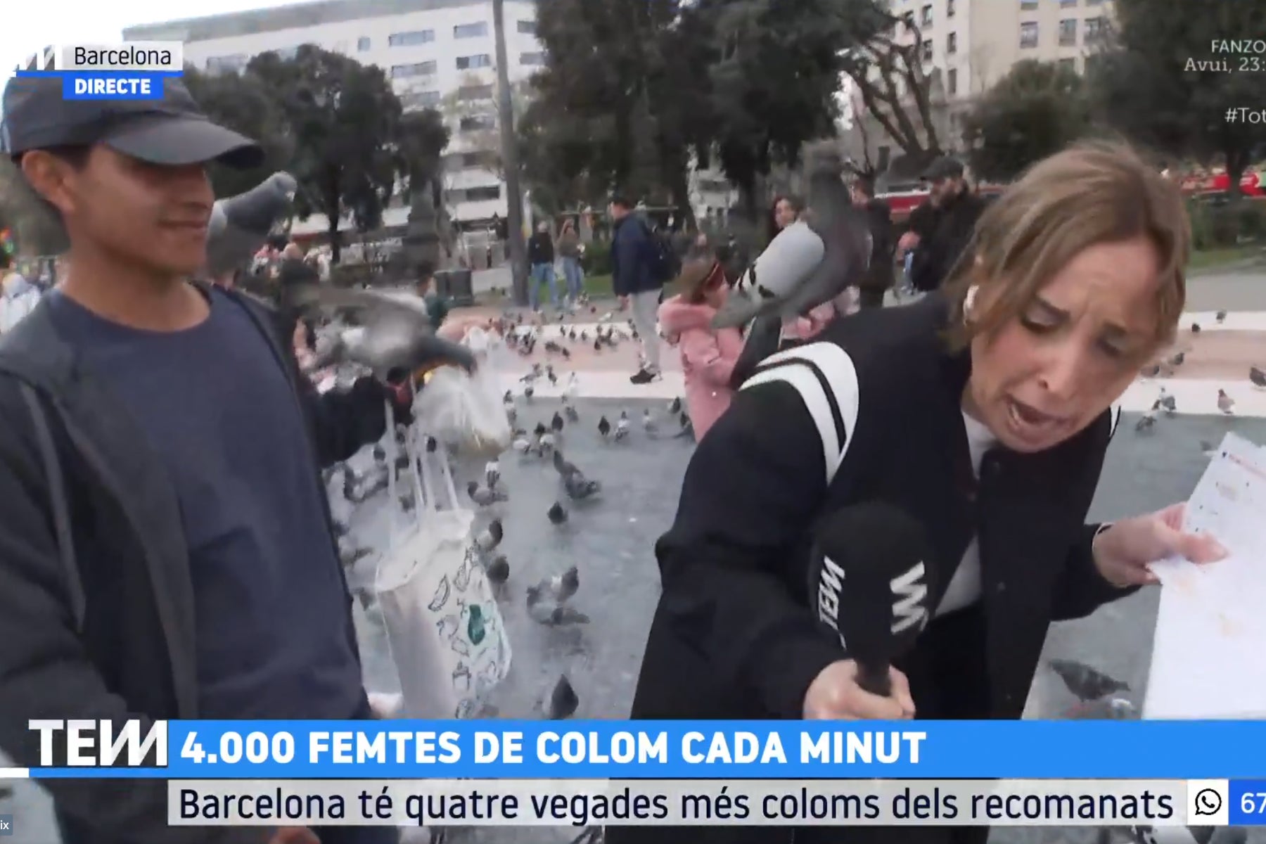 Un moment de la connexió del programa Tot es mou / TV3