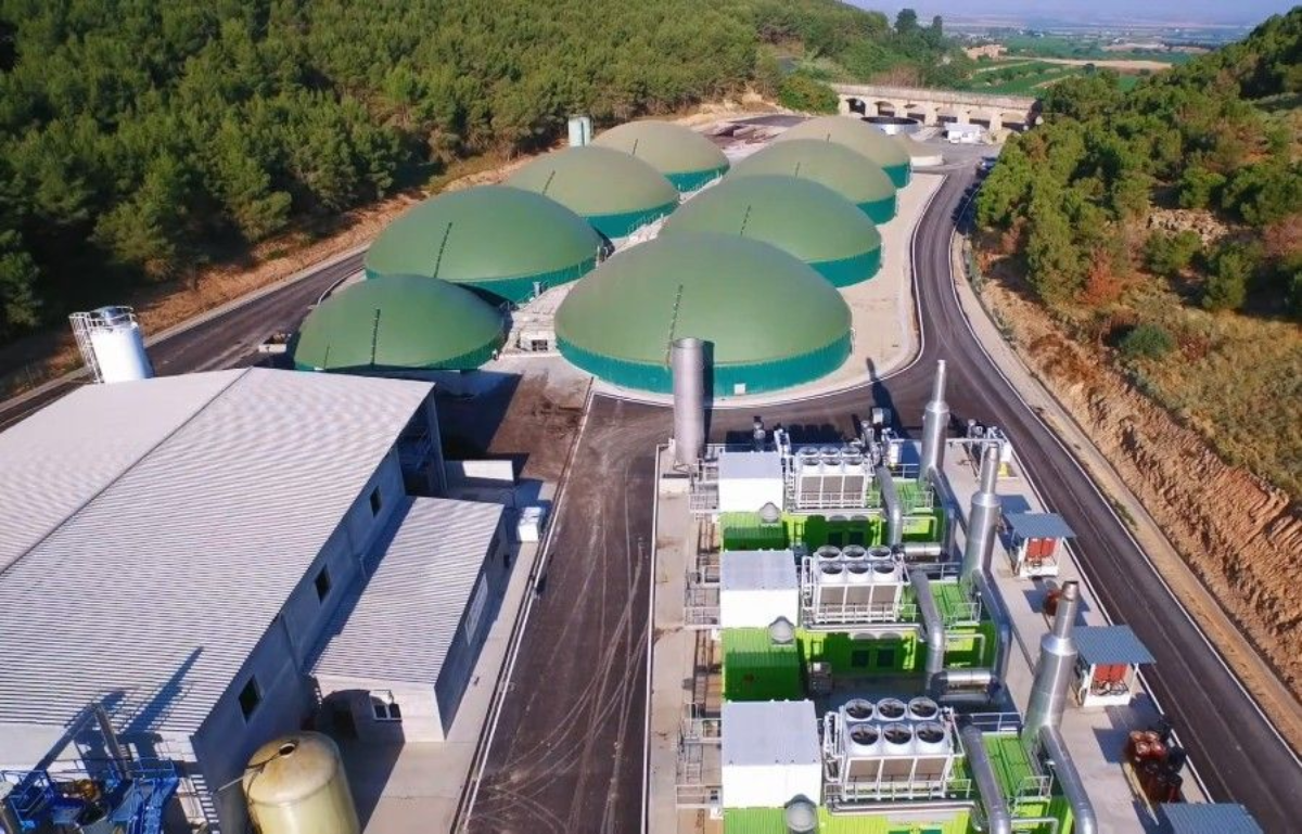 Instal·lacions del Grup Griñó | Foto del Grup Griñó
