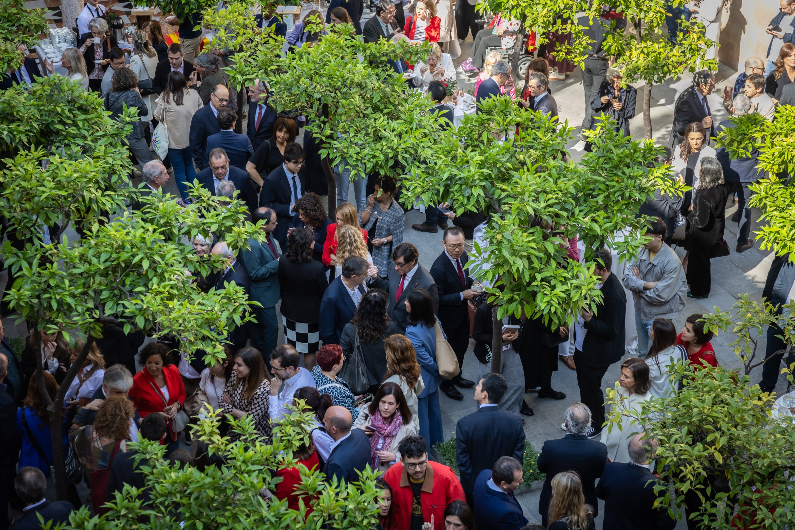 Una imatge del Pati dels Tarongers/Jordi Borràs