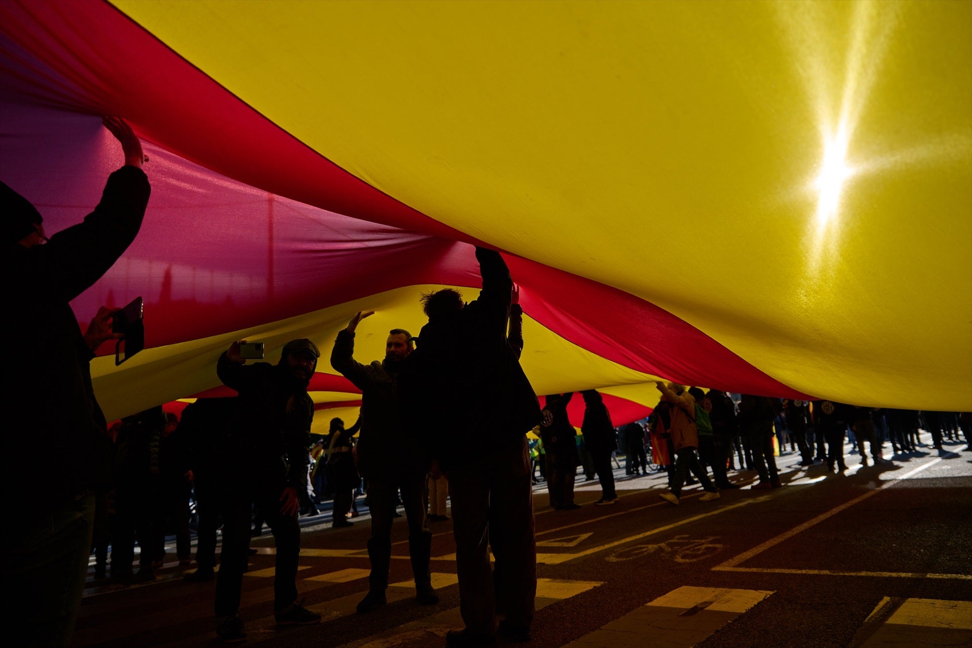 Una senyera gegant en una manifestació | 
Lorena Sopêna / Europa Press