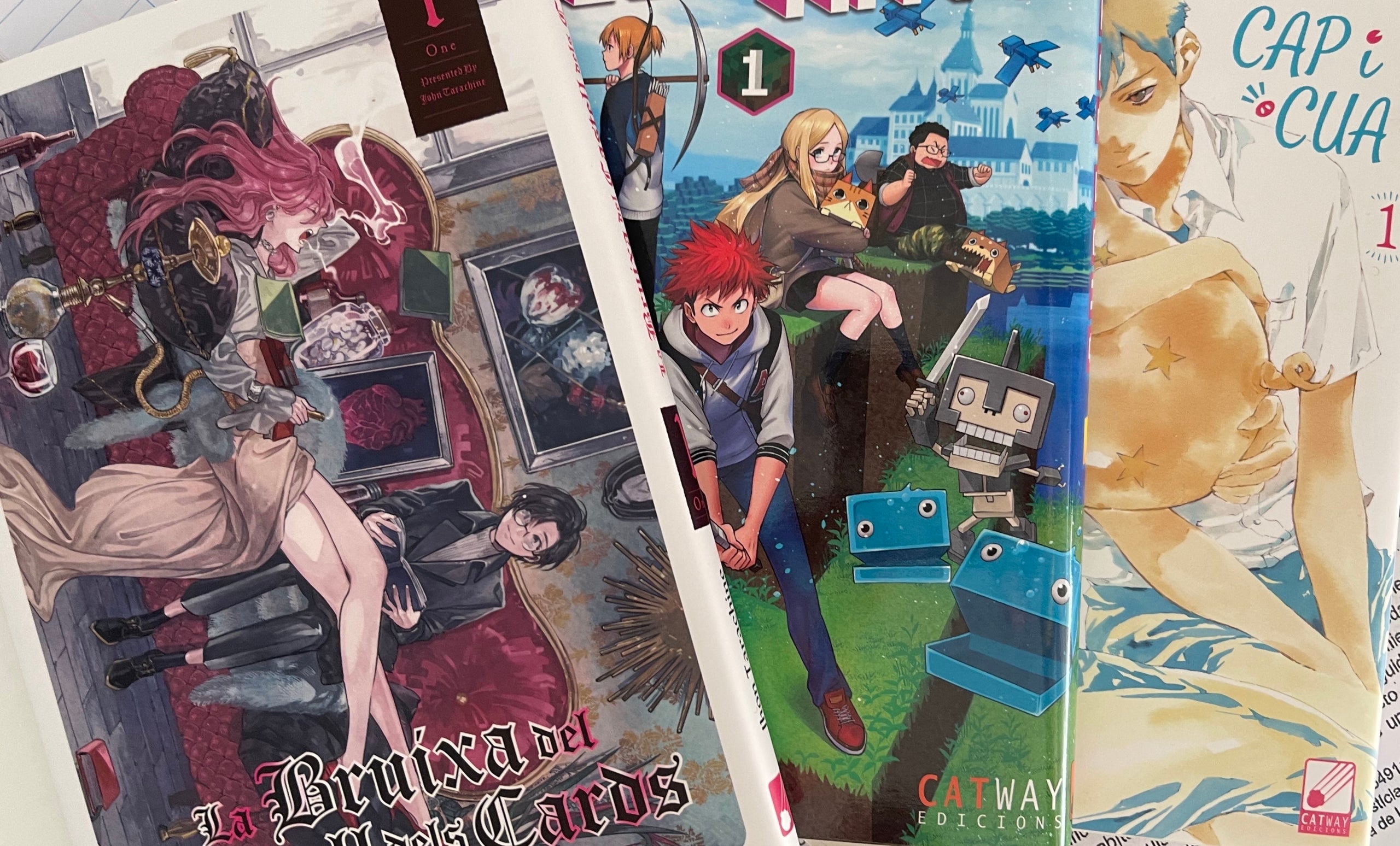 Portades dels manga editats per Catway edicions