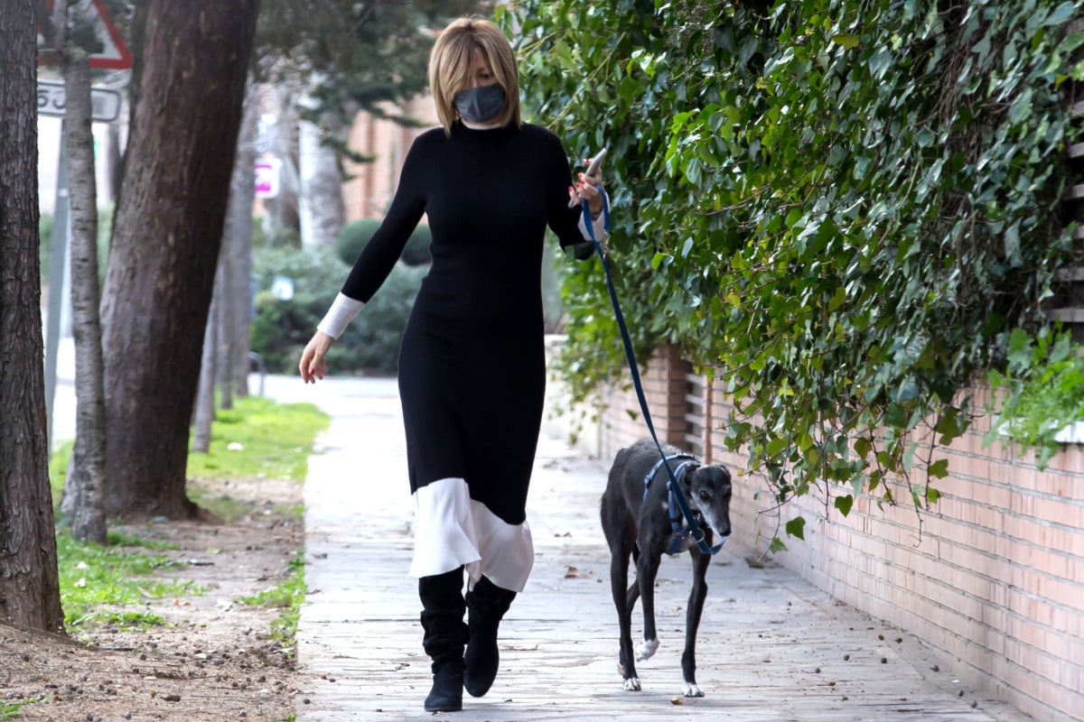 Sempre ha estat habitual veure la presentadora amb els seus estimats gossos - Europa Press