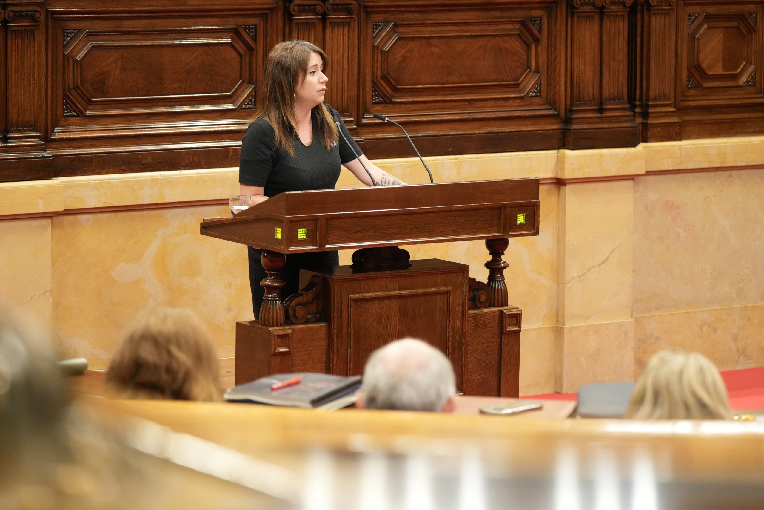 La diputada de la CUP Laure Vega intervé al debat a la totalitat dels pressupostos / ACN