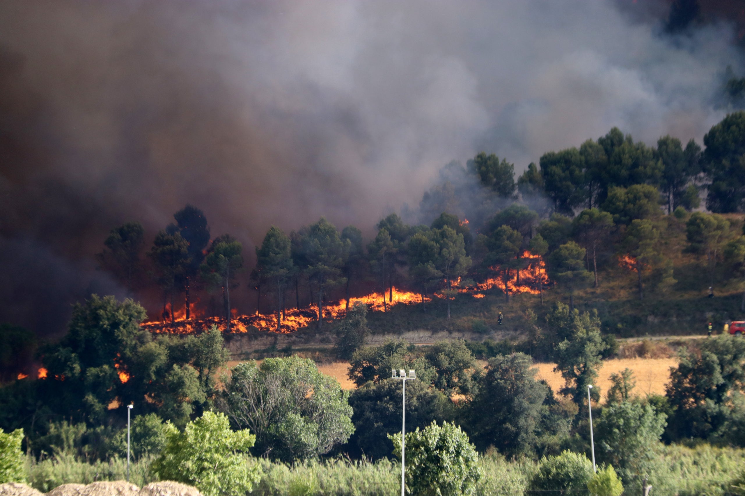 Flames a l'incendi de l'Anoia vistes des de Vilanova del Camí / ACN
