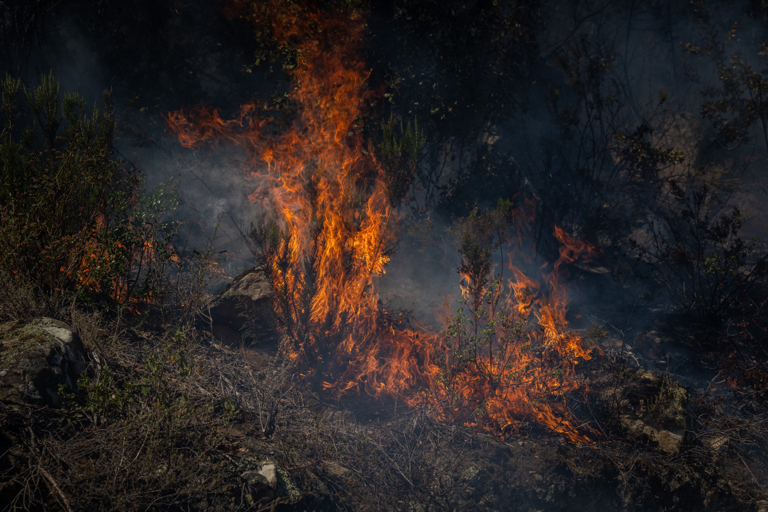 Flames a l'incendi de la Bisbal | Jordi Borràs (ACN)