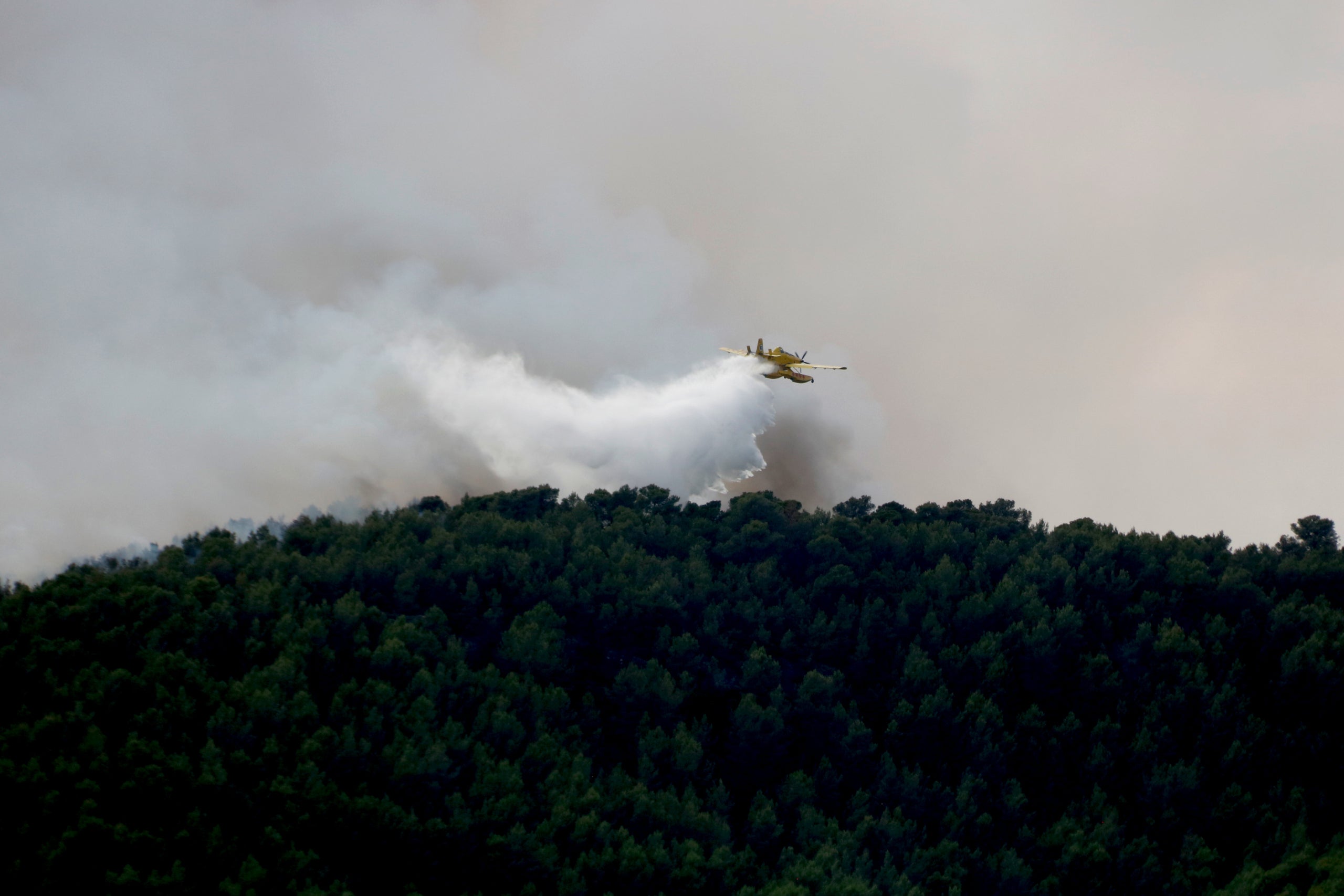 Un hidroavió a l'incendi d'Aiguamúrcia | Arnau Martínez (ACN)