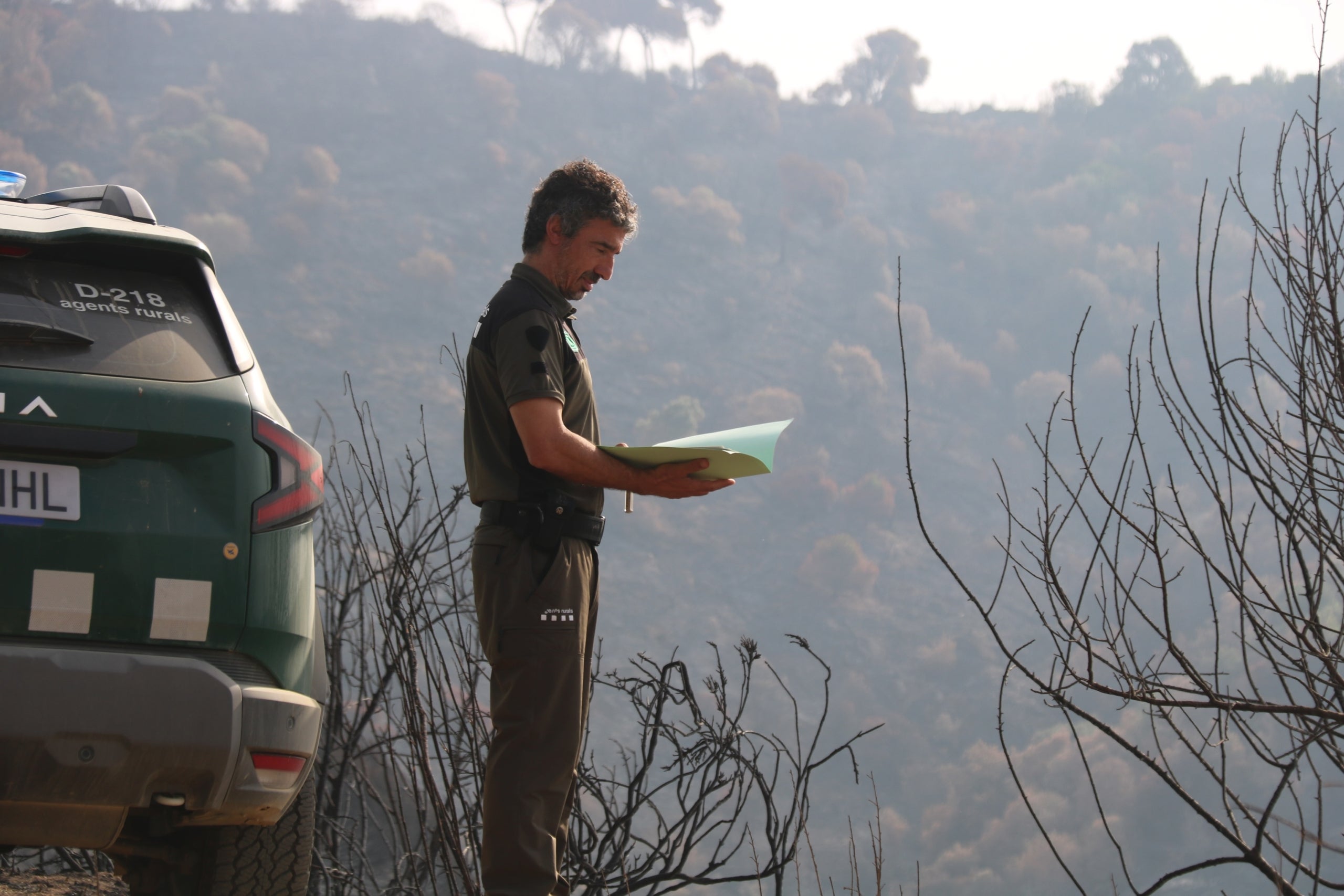 Un Agent Rural revisa una superfície afectada per un incendi / ACN