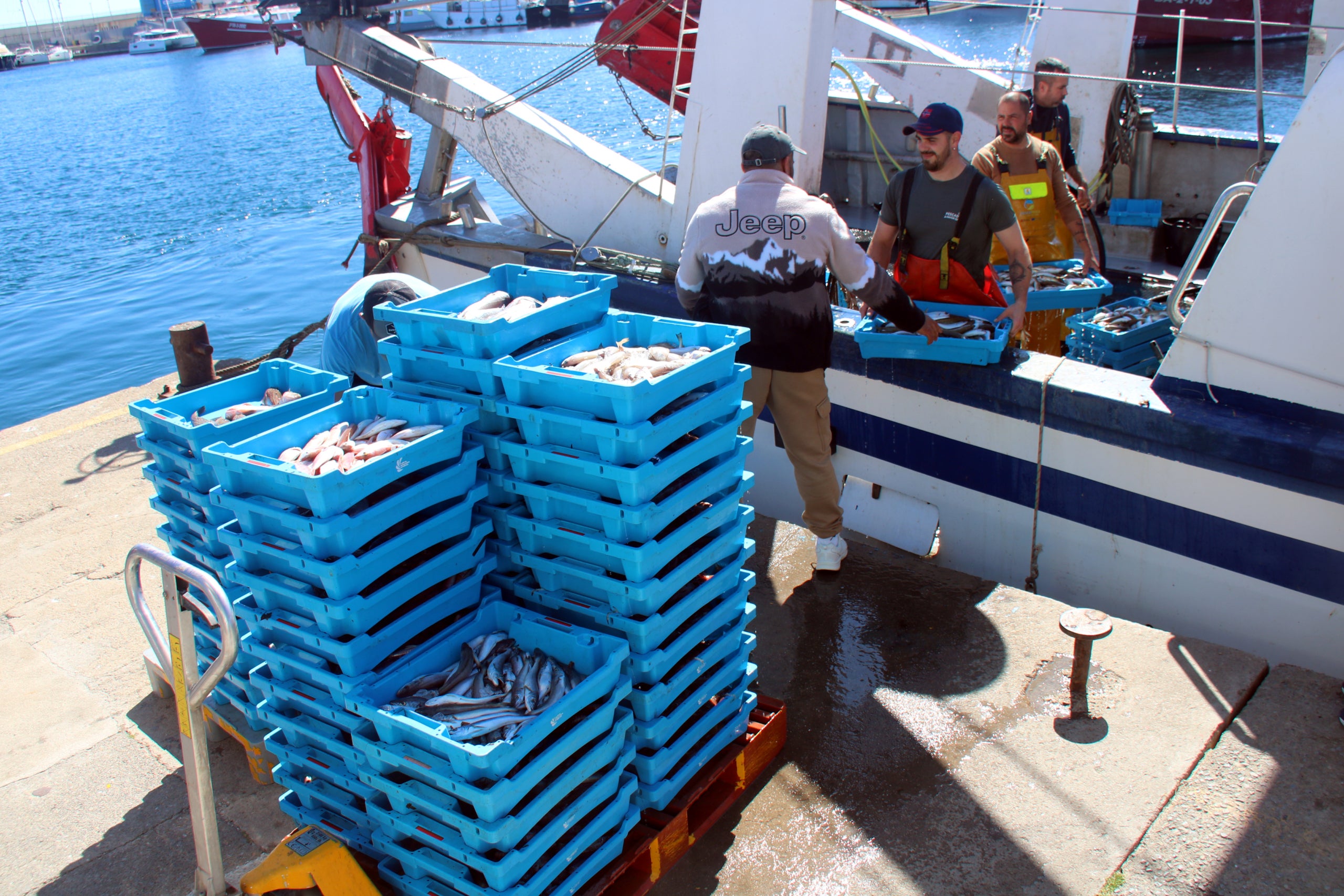 Pescadors al port de Palamós / ACN
